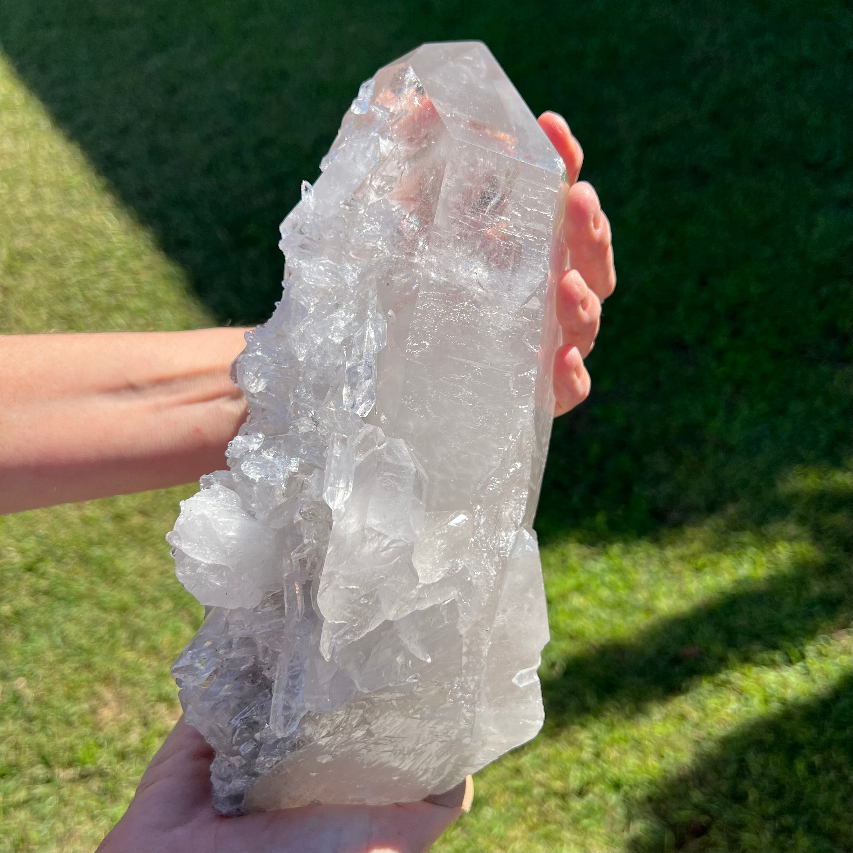 Barnacle Quartz Cluster