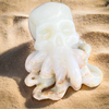 Octopus Skull Afghanistan Jade Carving