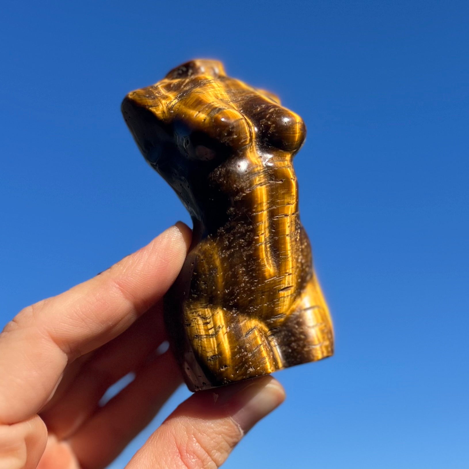Tiger Eye ~ Woman Lady Body Carving