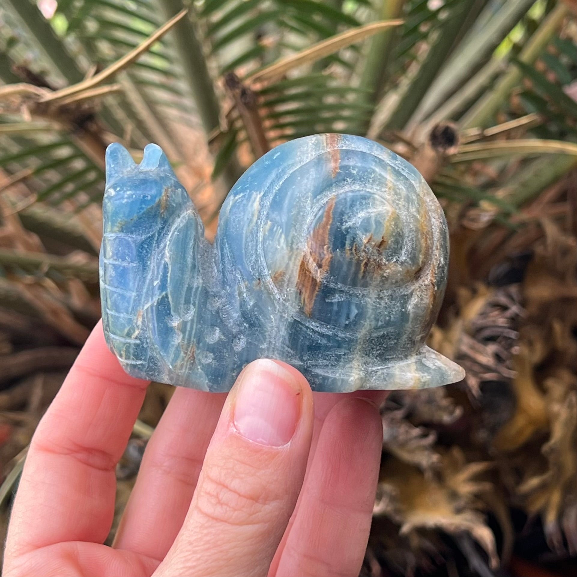 Blue Onyx Snail Carving