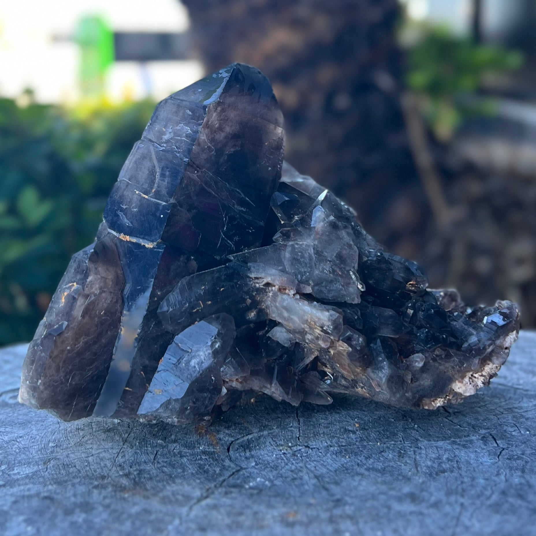 Specular Smokey Quartz Cluster