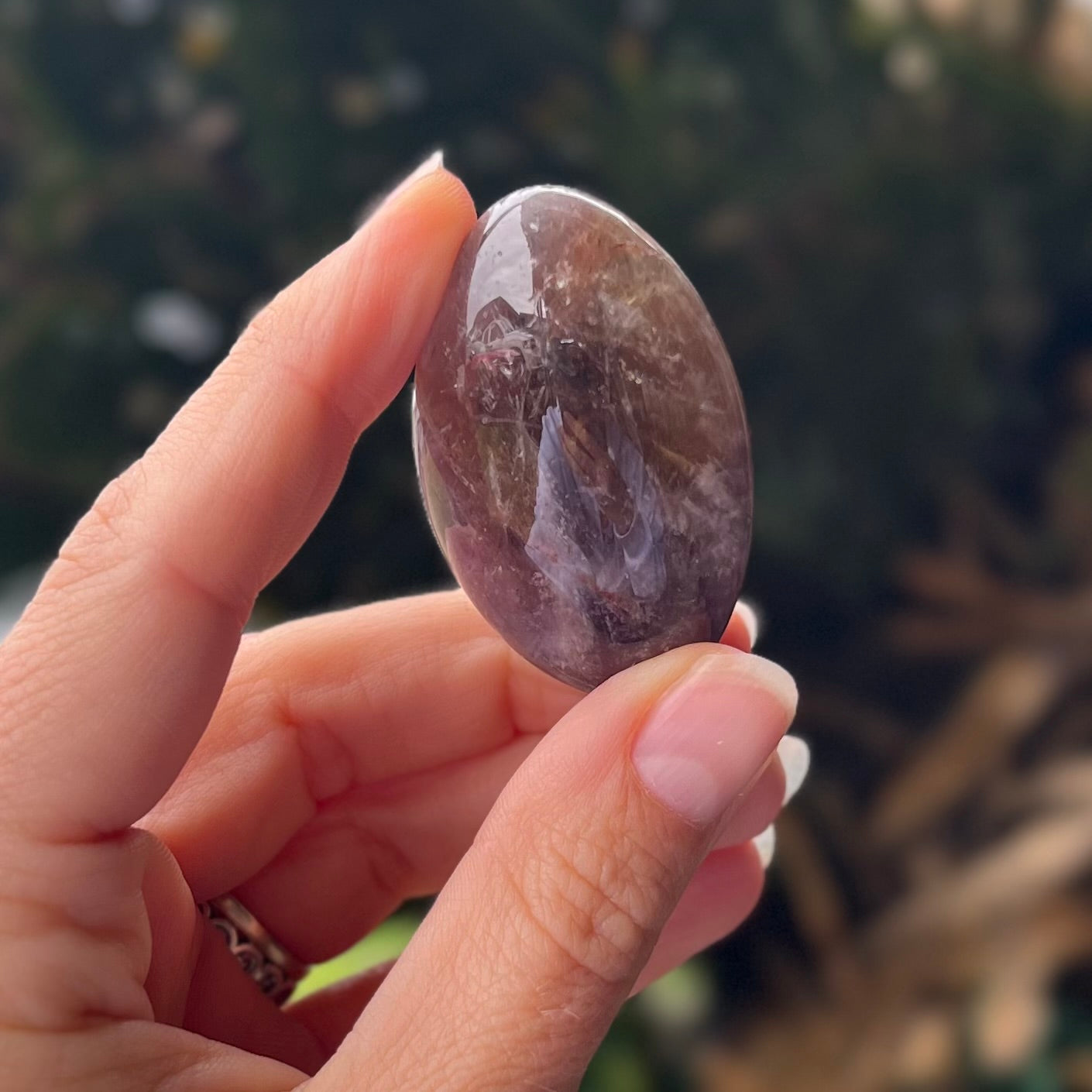 Ametrine  ~ Specialty Boxed Crystal ~ 4