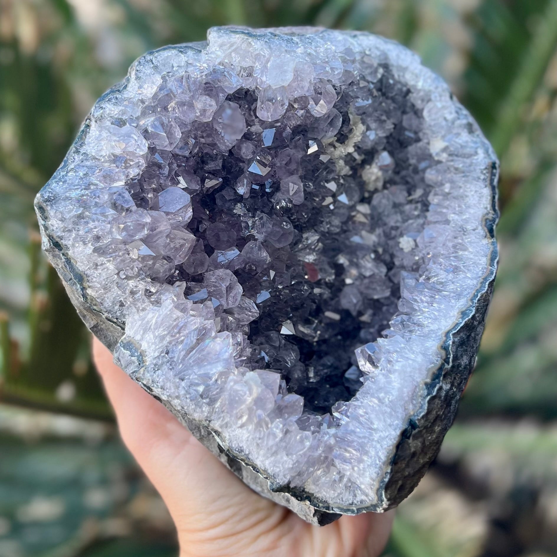 Amethyst Standing Cluster Geode