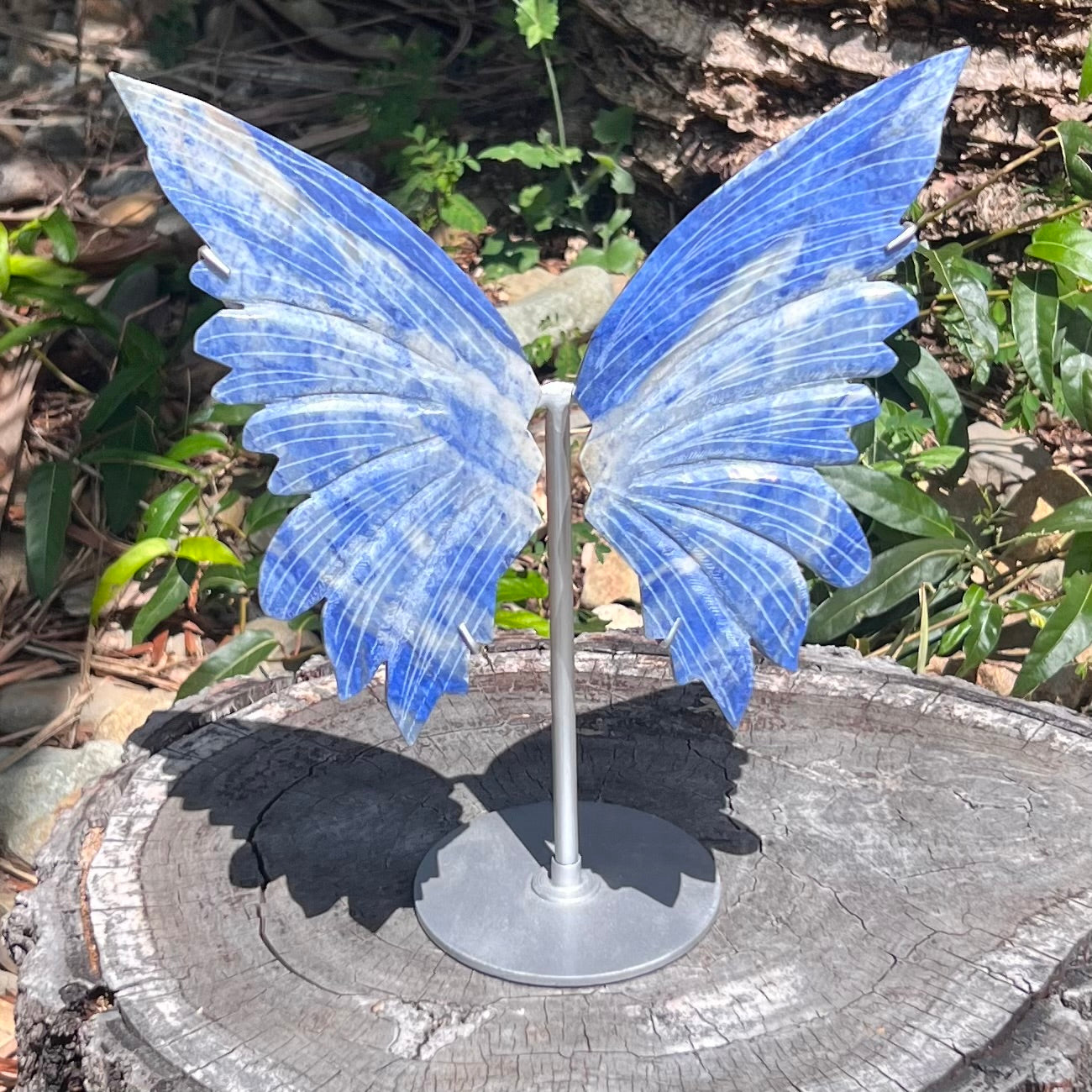 Sodalite Butterfly on Stand