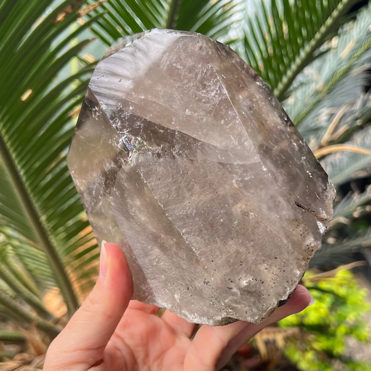 Incredible Natural Semi Raw Smokey Point