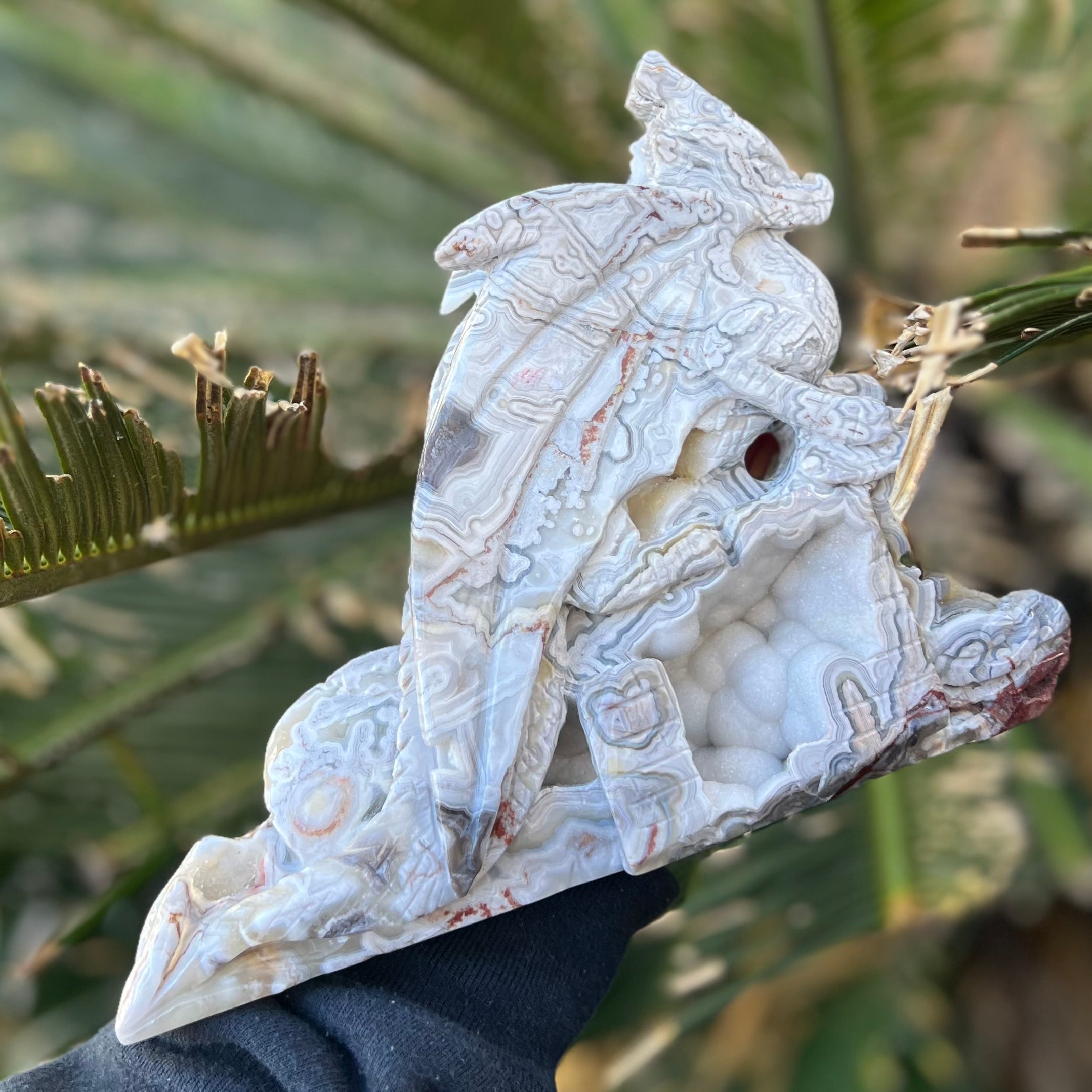 Crazy Lace Agate Dragon Carving