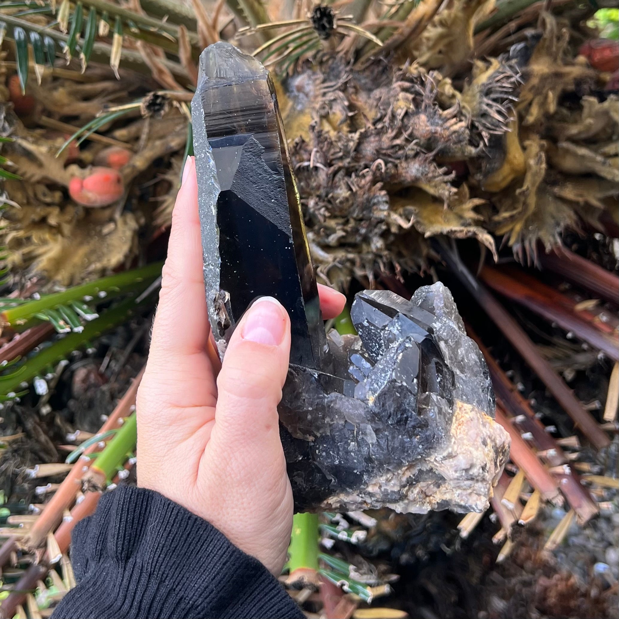 Natural Smoky Lemurian Quartz Cluster