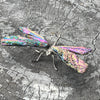 Dragon Fly ~ Rainbow Kyanite Electroplate