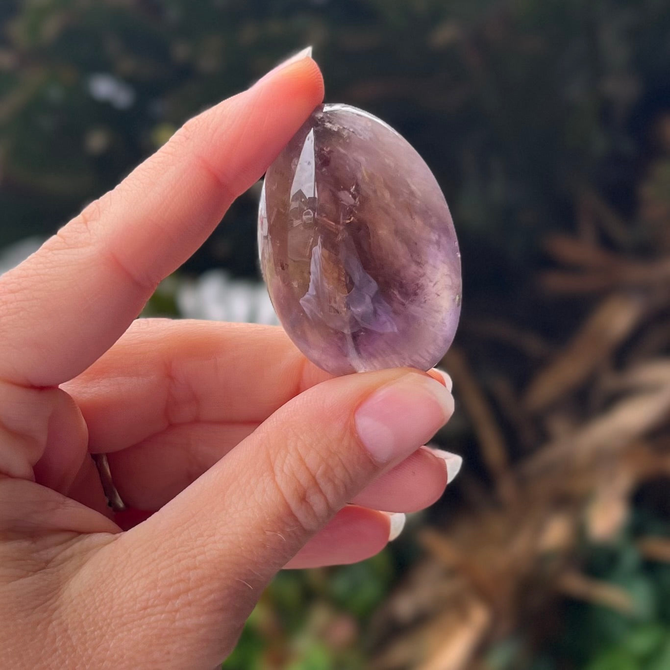 Ametrine  ~ Specialty Boxed Crystal ~ 2