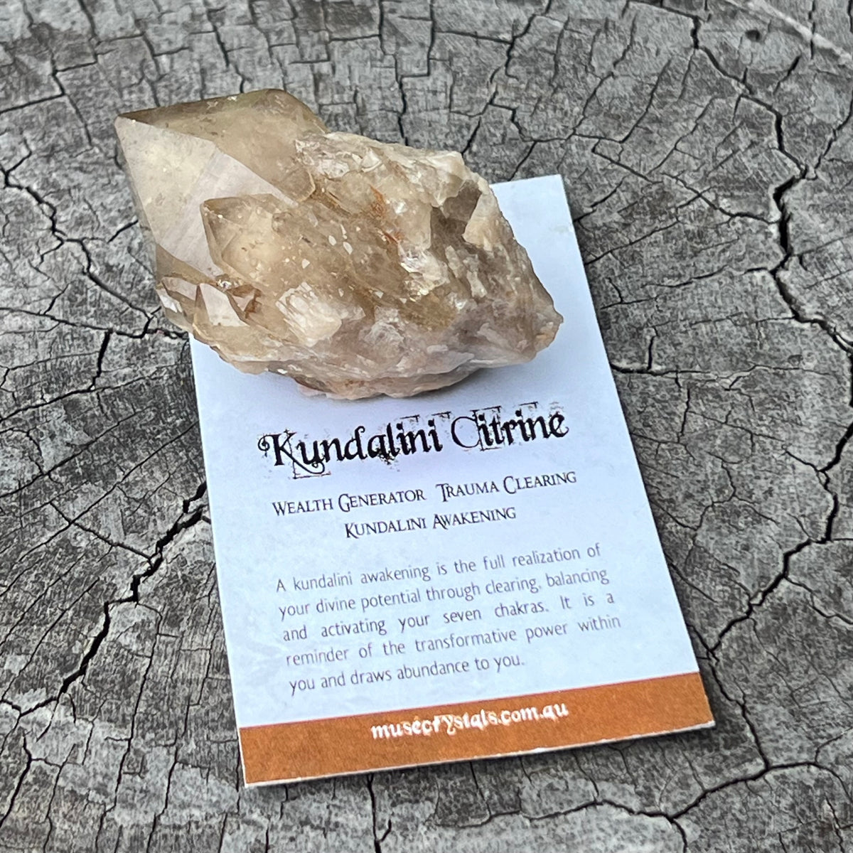 Kundalini Citrine~ Specialty Crystal – Muse Crystals & Mystical Gifts