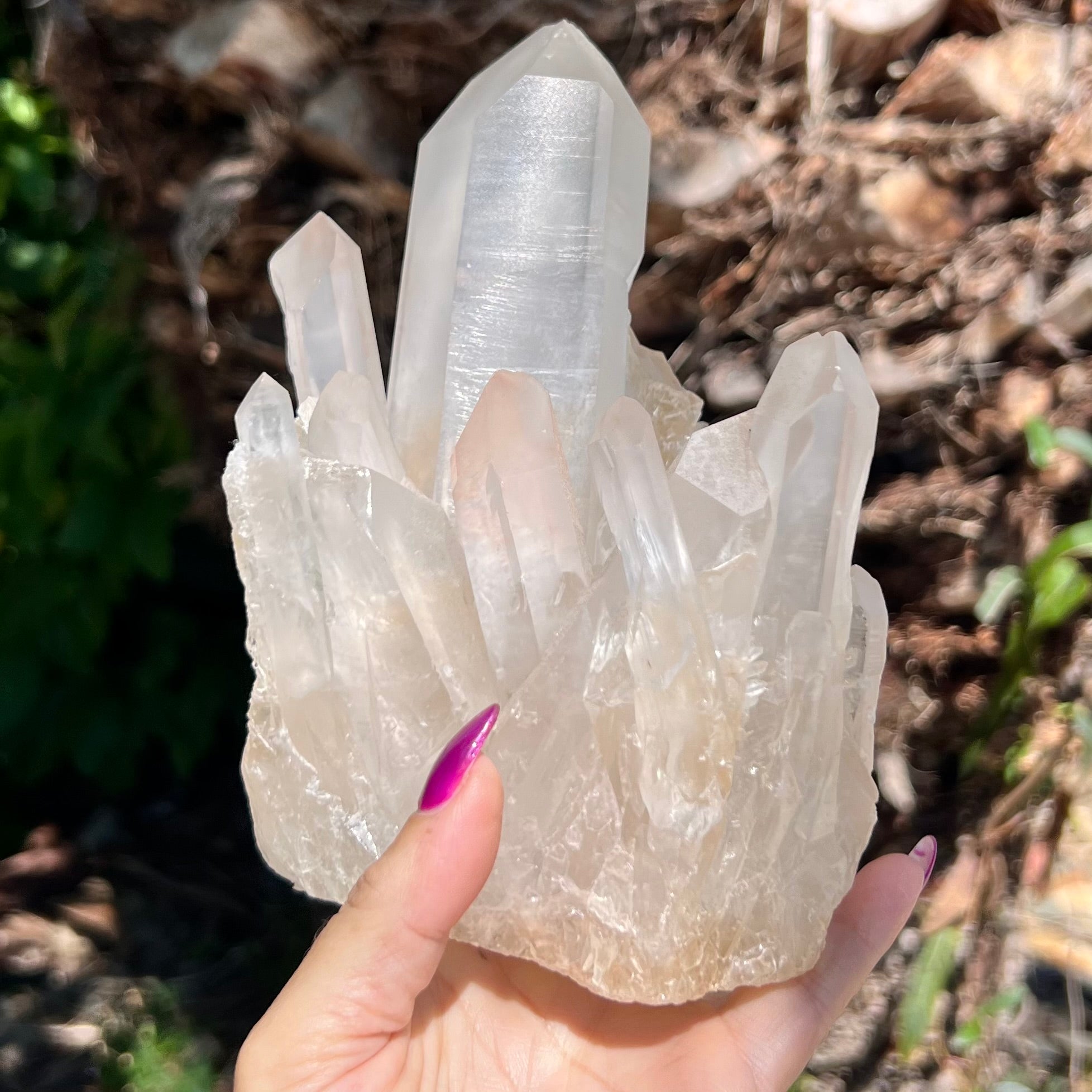 Raw Clear Quartz Natural Cluster of Points