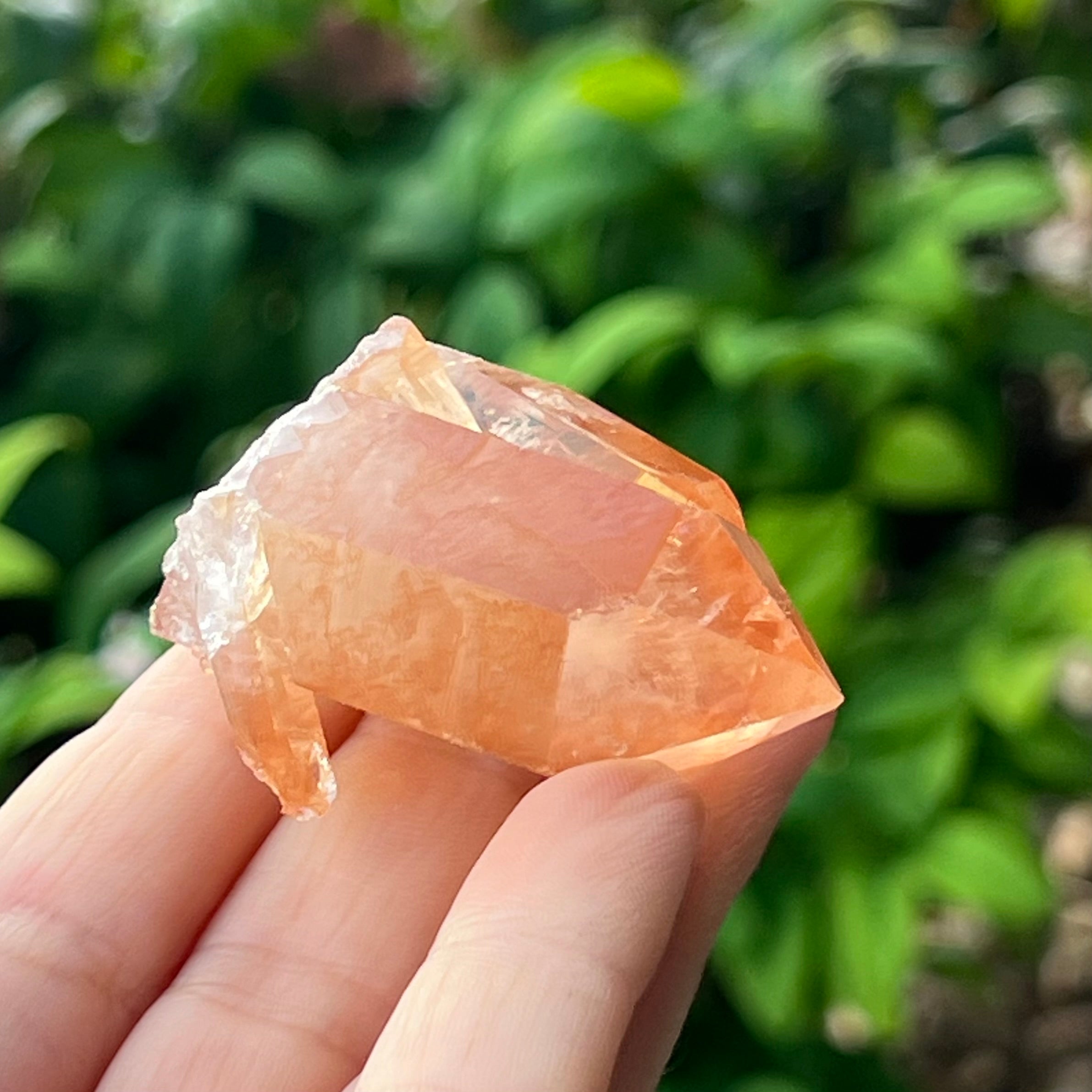 Tangerine Quartz ~ Specialty Boxed Crystal