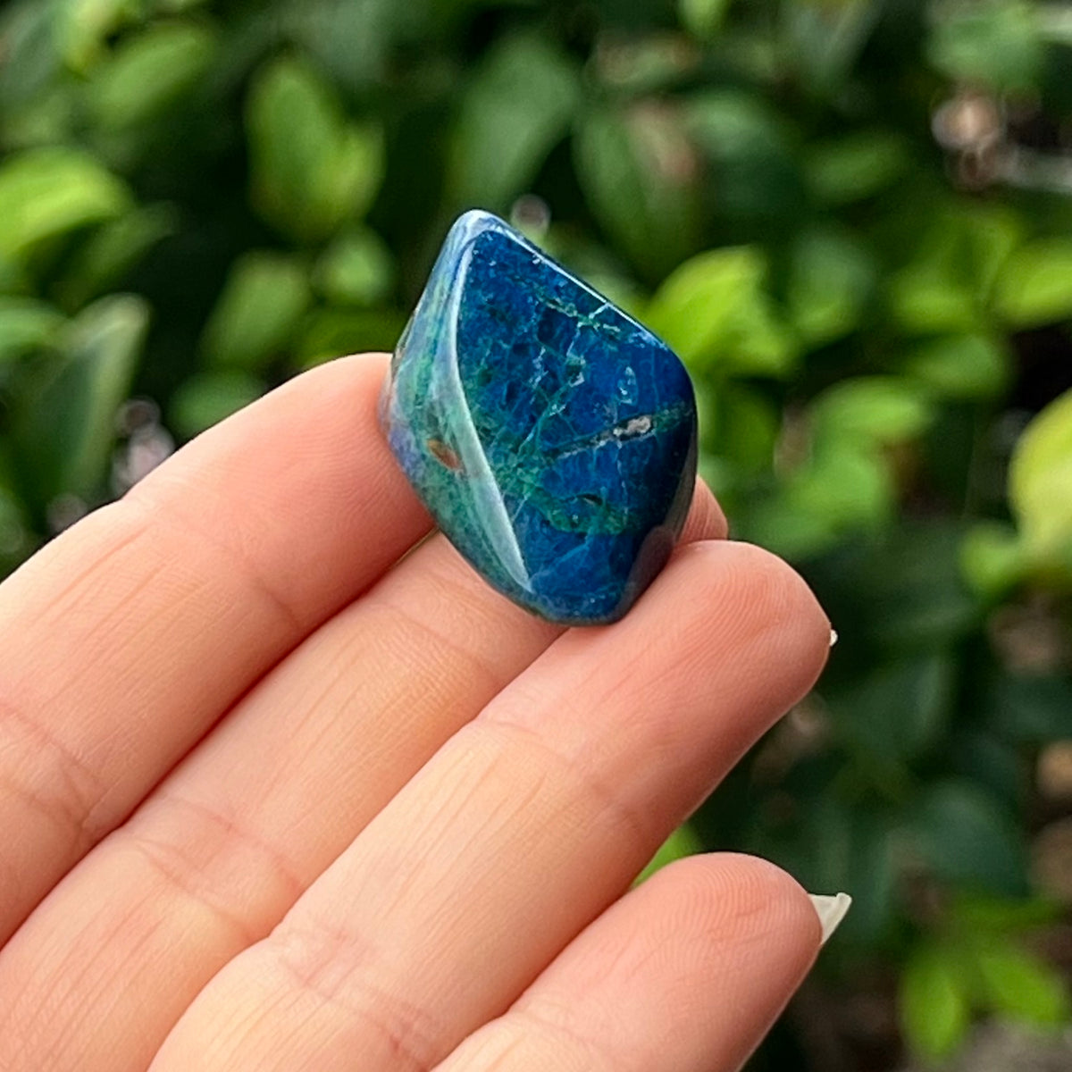 Shattuckite ~ Specialty Boxed Crystal