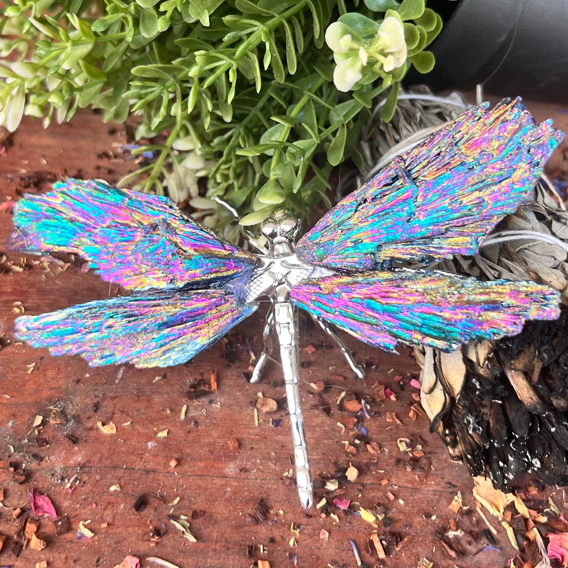 Dragon Fly ~ Rainbow Kyanite Electroplate