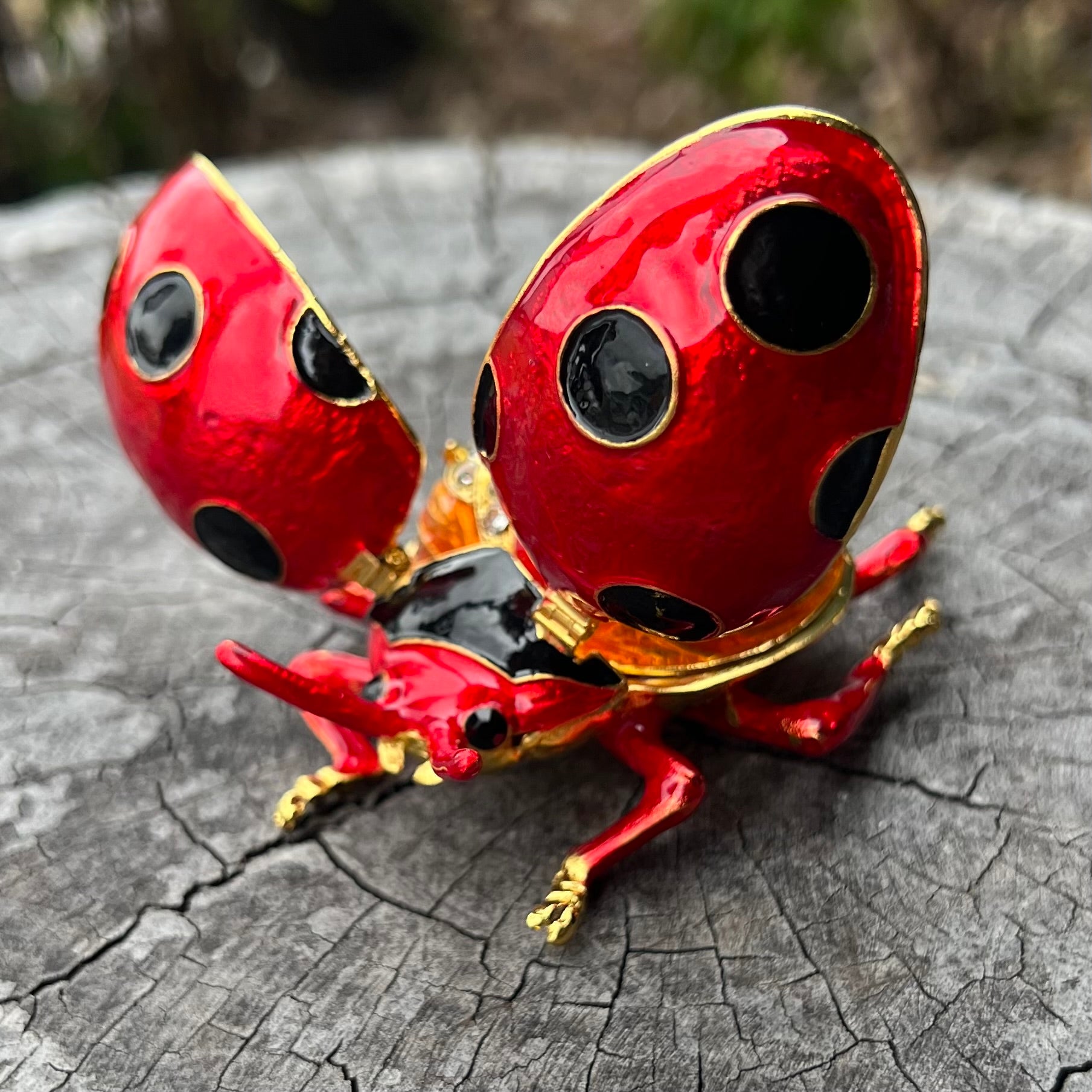 Ladybug ~ Trinket Box