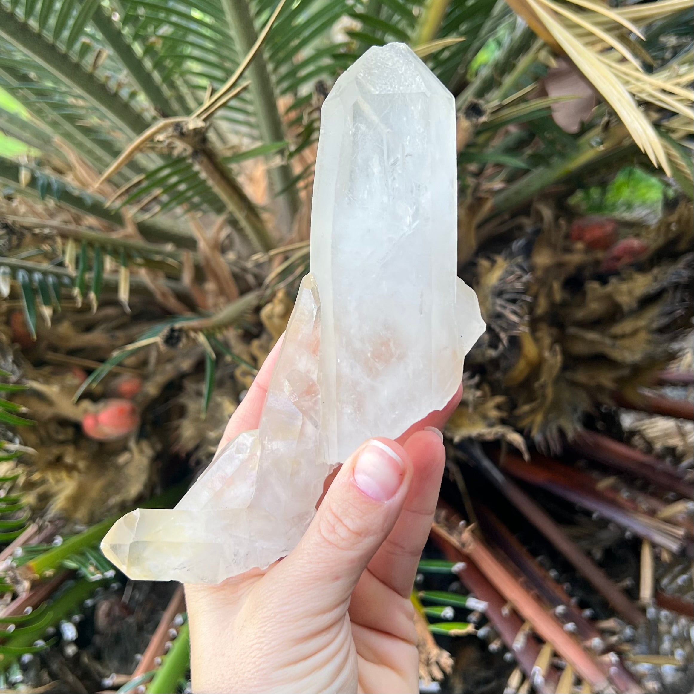 Clear Quartz Record Keeper Cluster