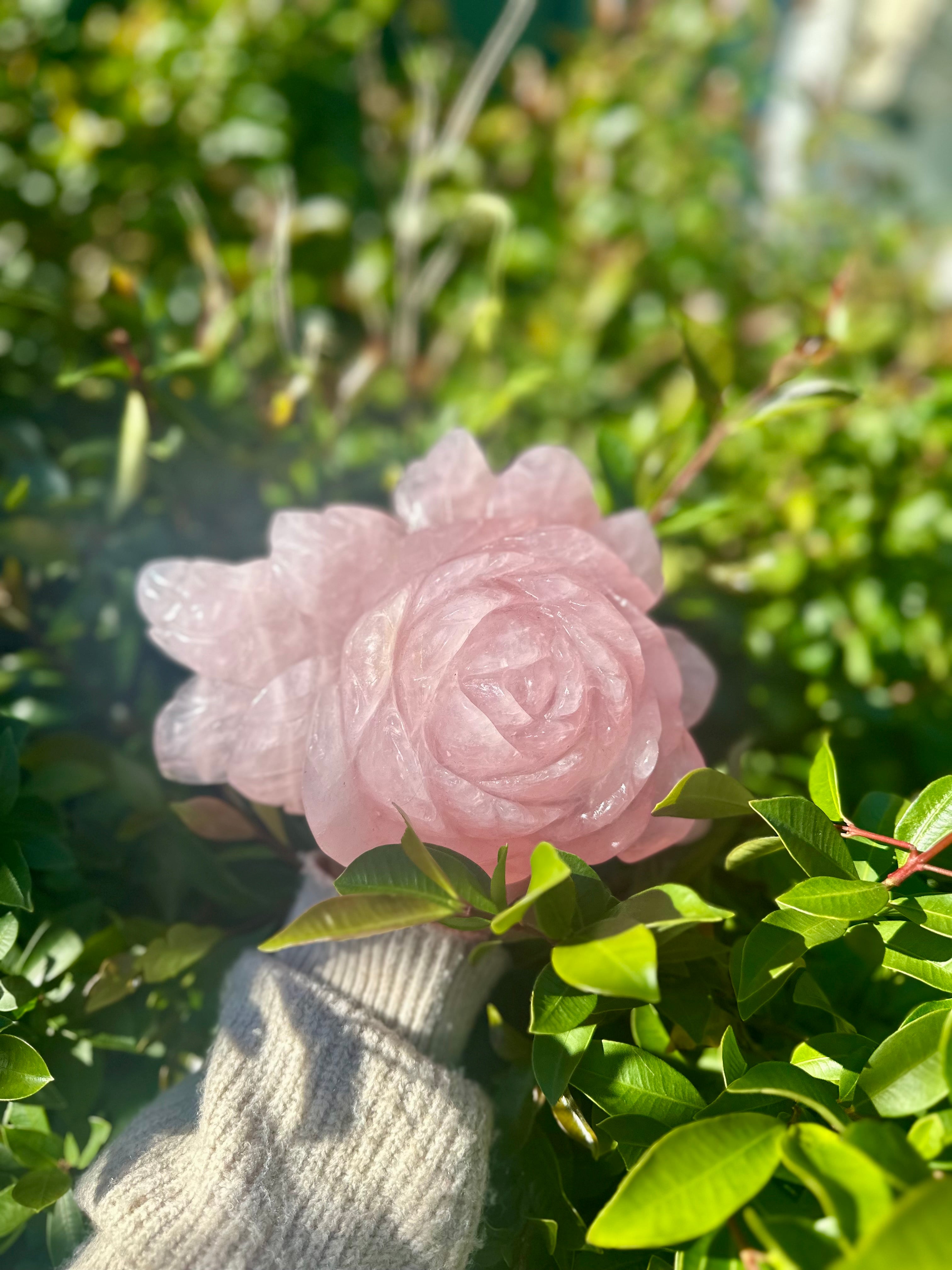 Rose Quartz Rose Carving - Large