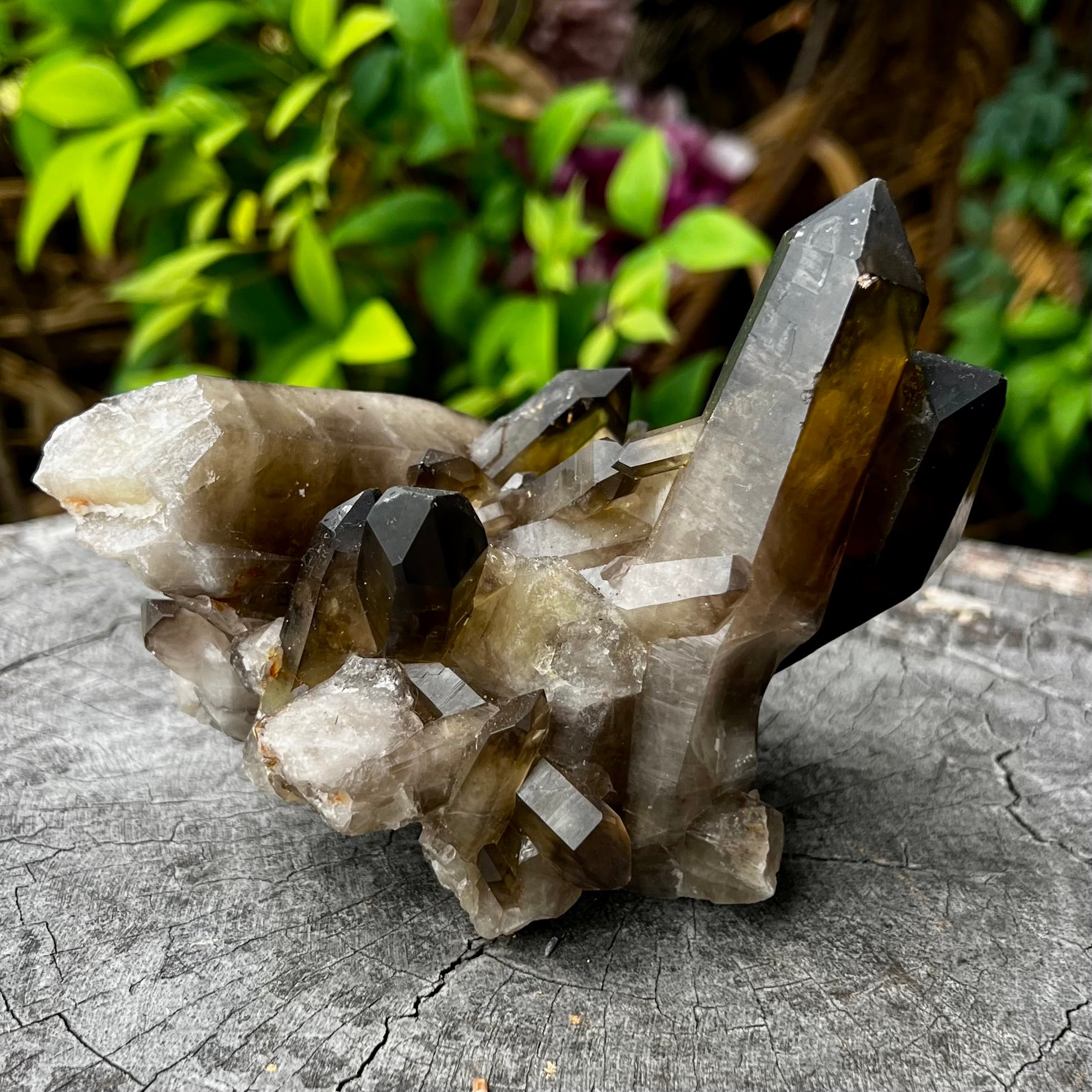Smokey Quartz Cluster