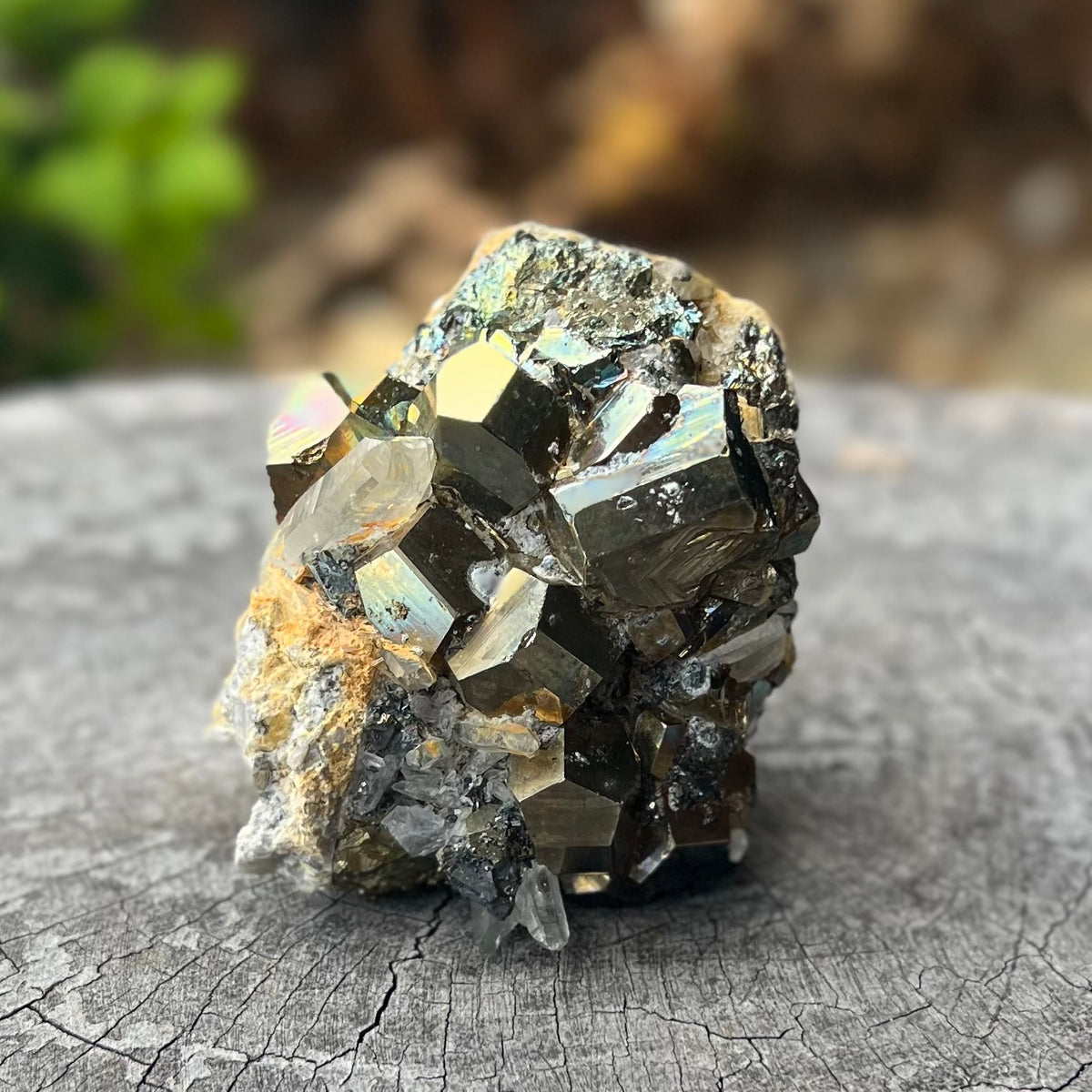 Pyrite and Clear Quartz on the Matrix