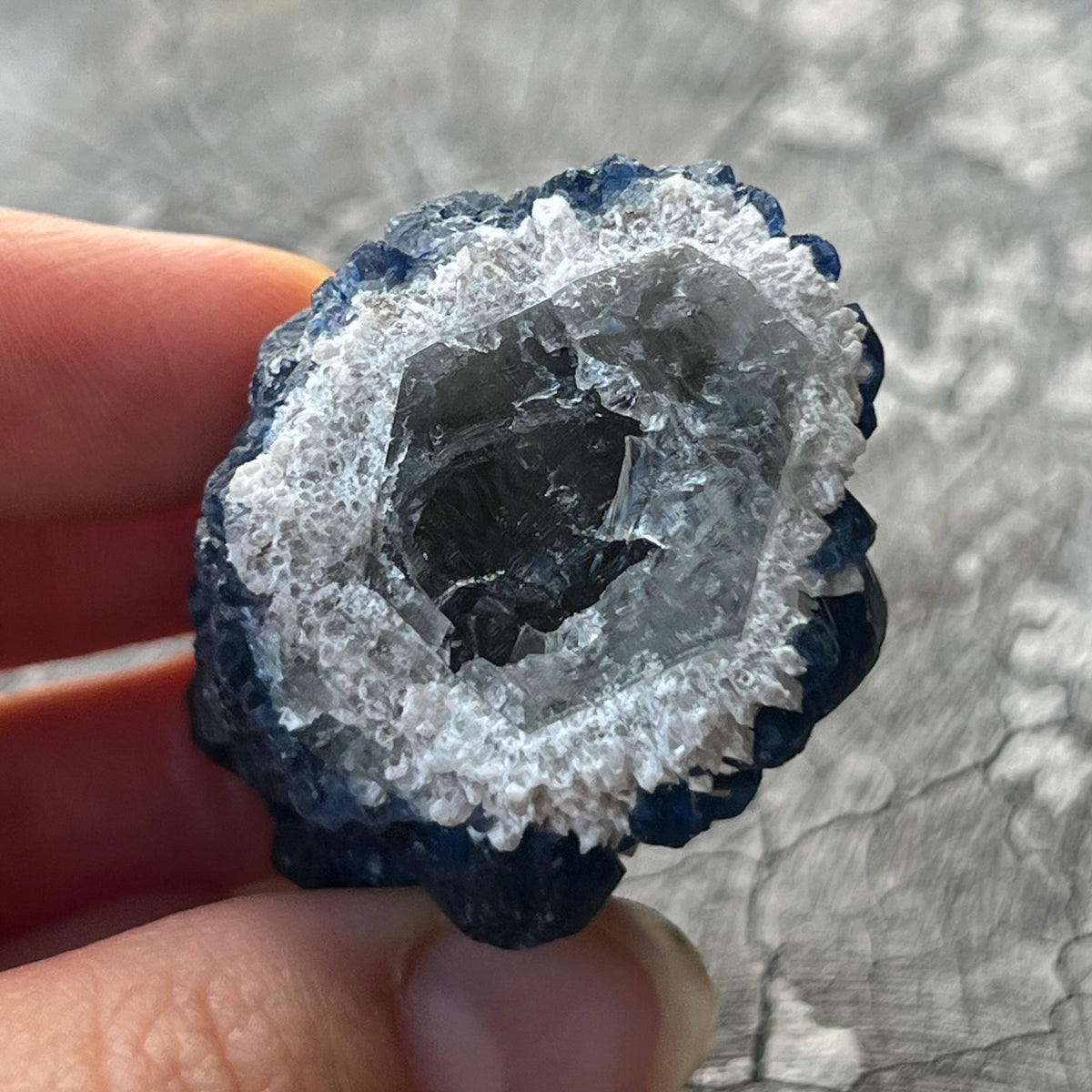 Raw Blue Fluorite ~ Specialty Boxed Crystal