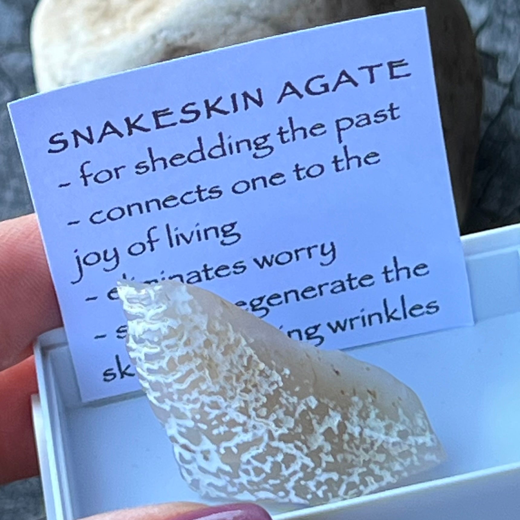 Snake Skin Agate ~ Specialty Boxed Crystal