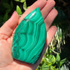Malachite Teardrop Freeform ~ Transformation