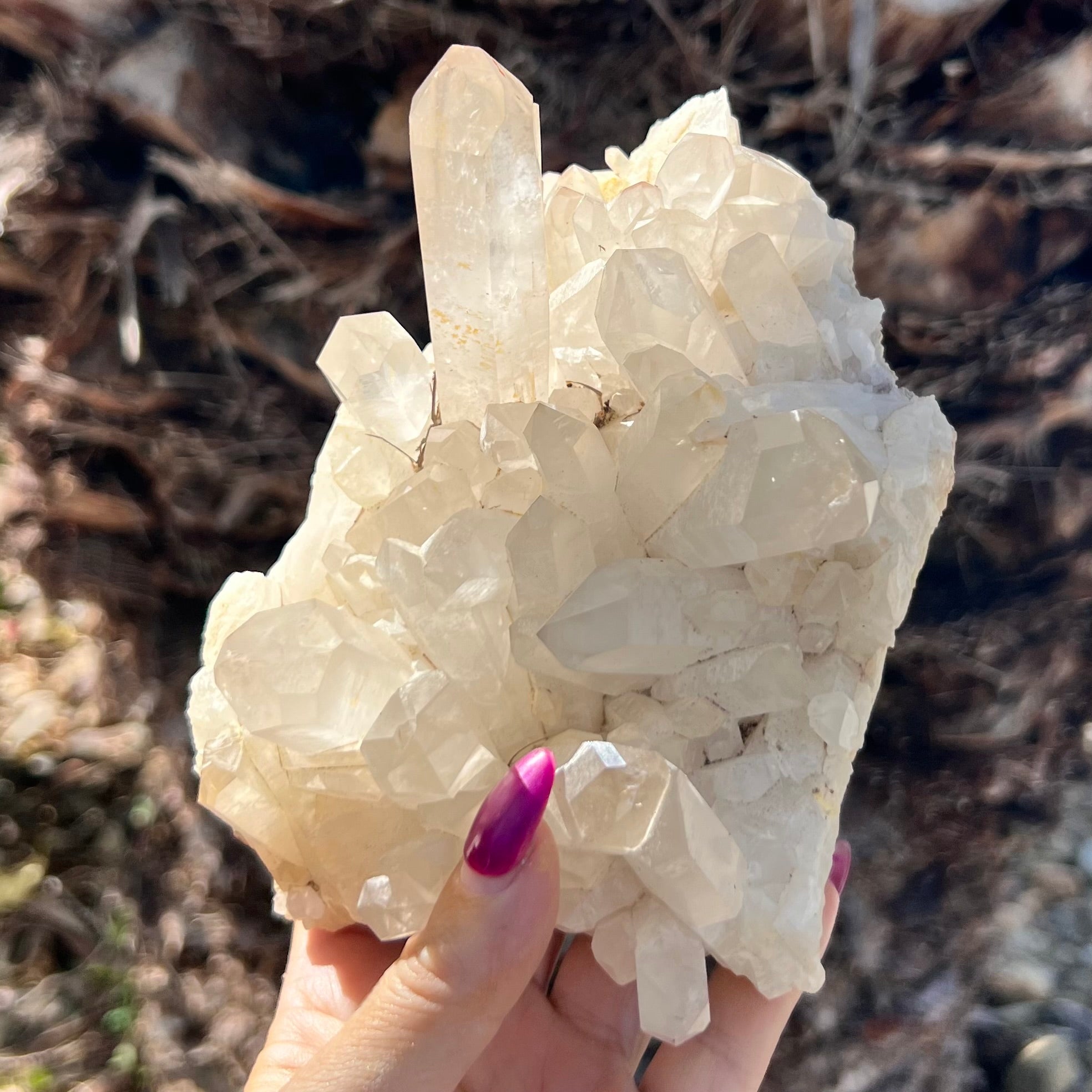 Spiritual Journey ~ Madagascar Quartz Cluster