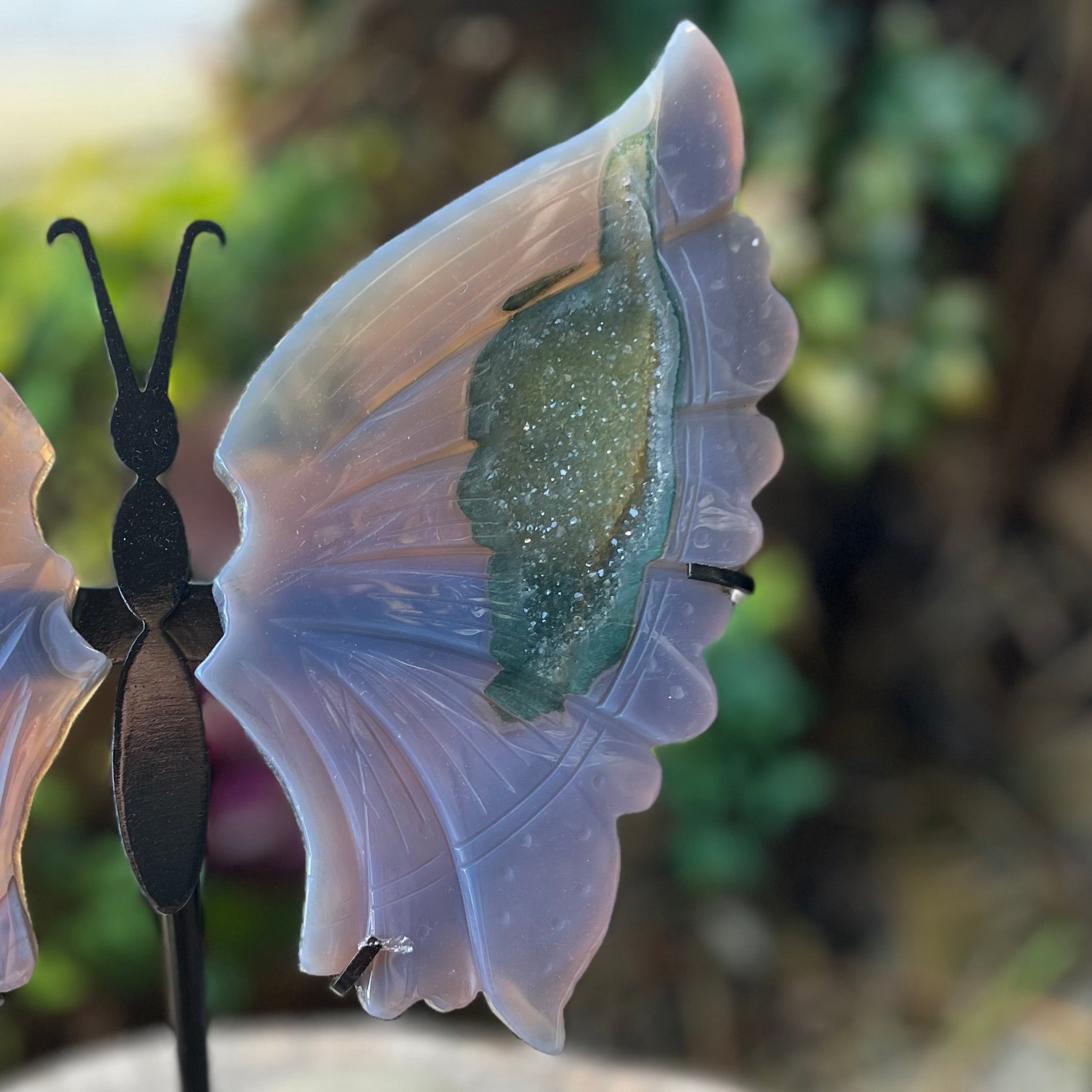 Amethyst~Agate Butterfly on Stand