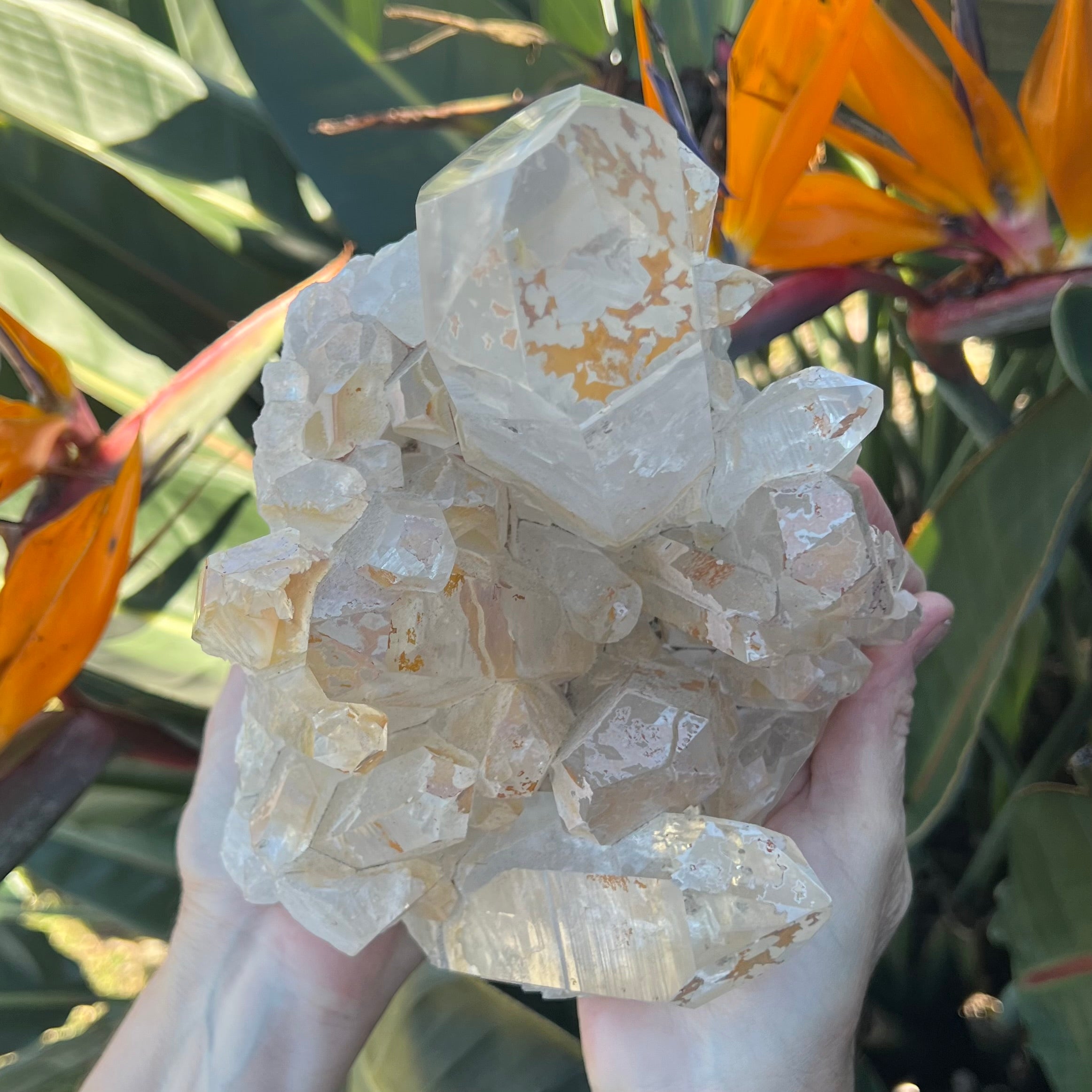 Stunning Clear Quartz Cluster