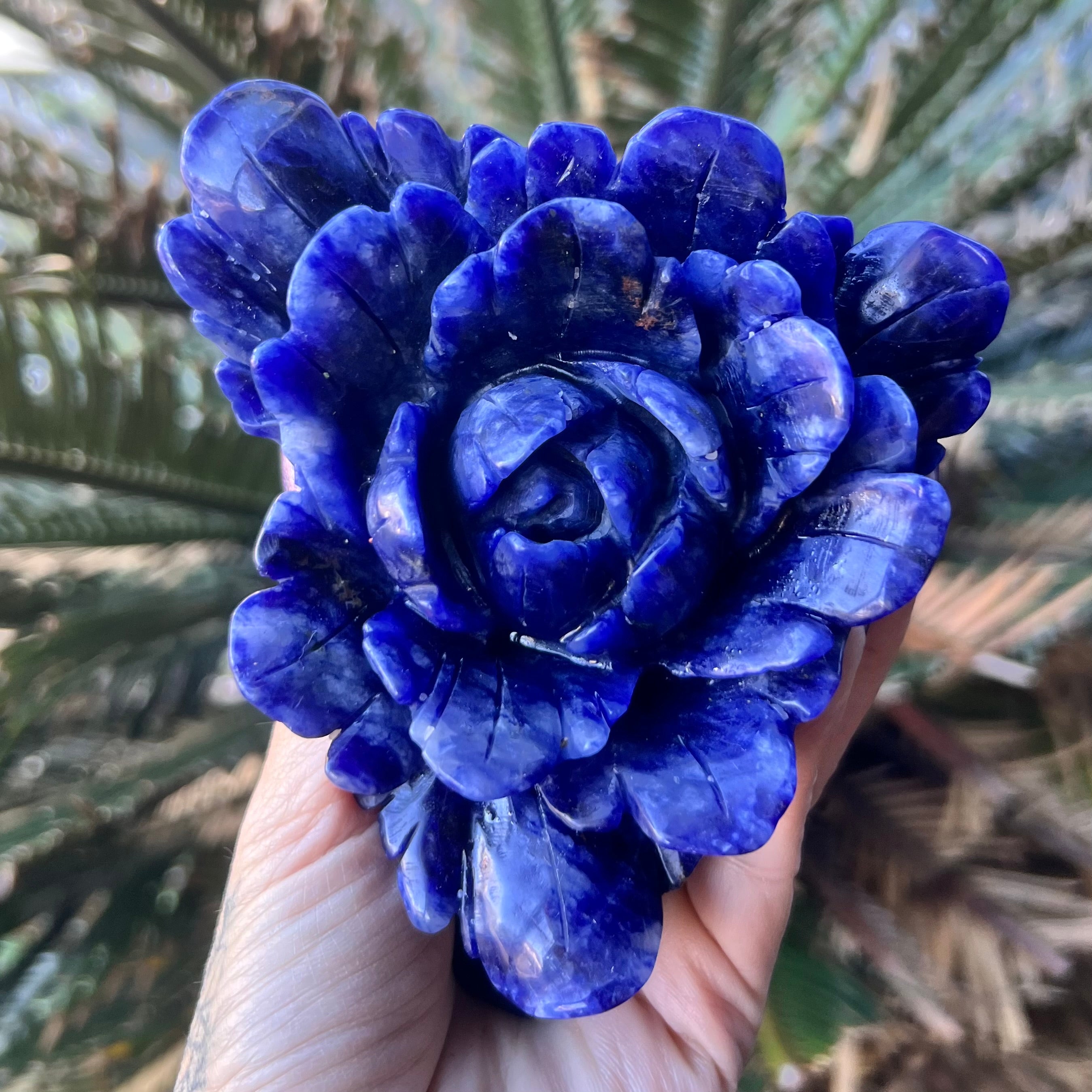 Sodalite ~ Rose Carving
