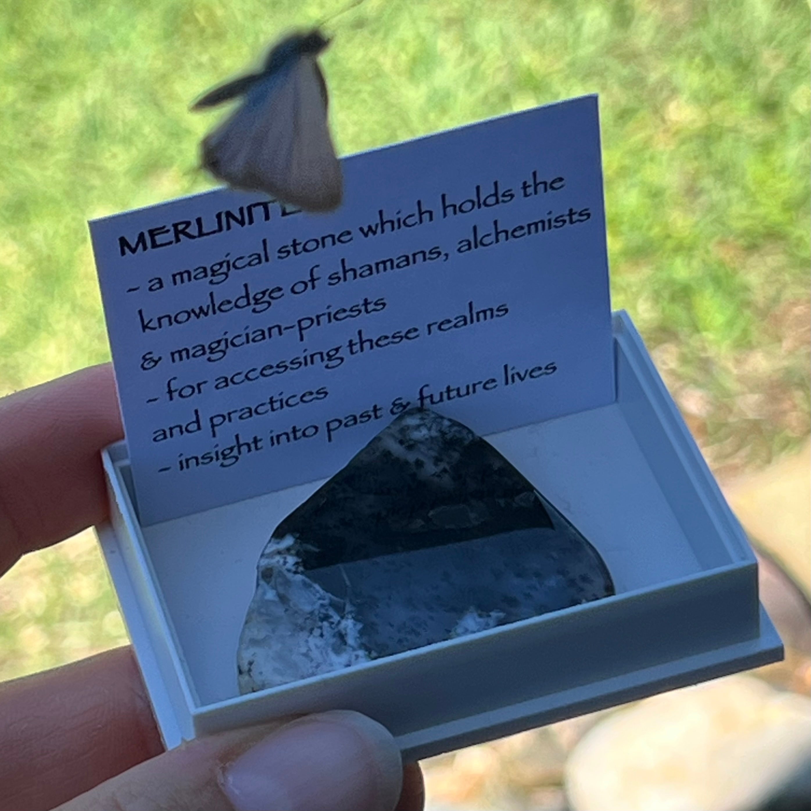 Merlinite ~ Specialty Boxed Crystal