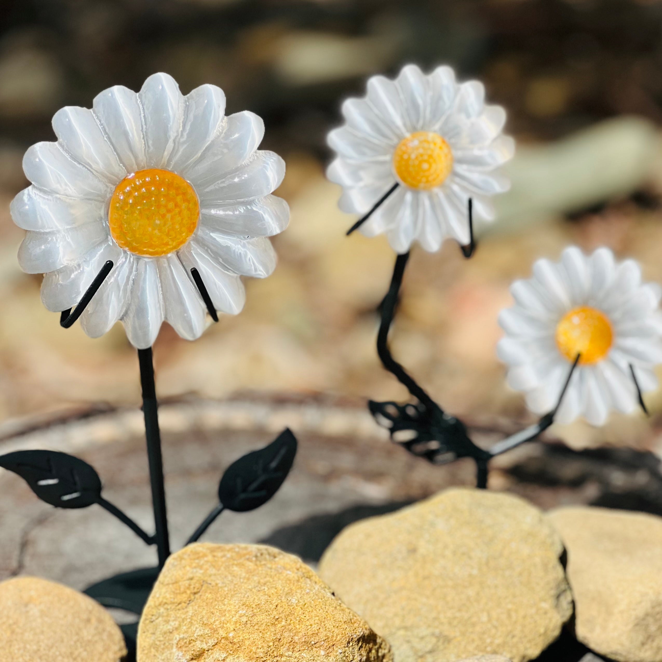 Selenite Daisies on Metal Stand