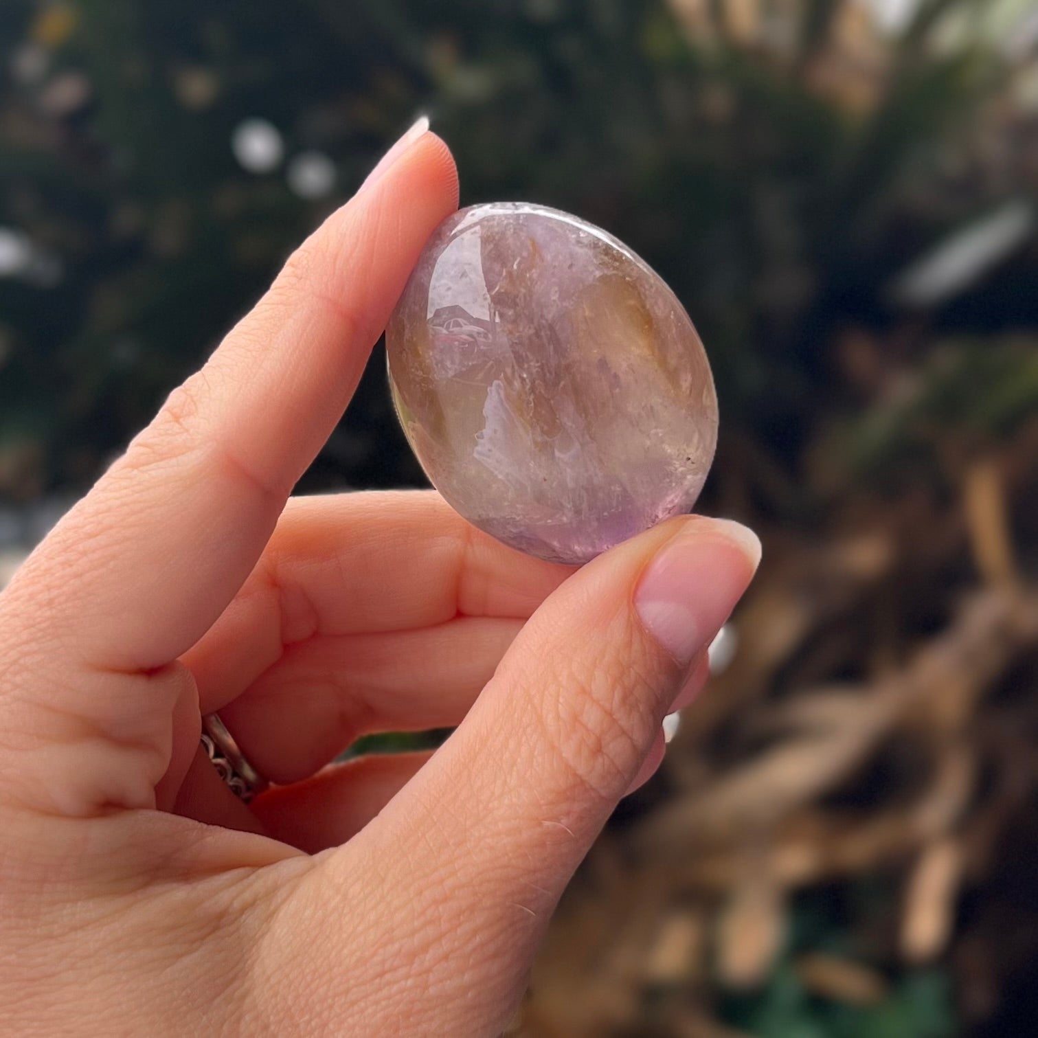 Ametrine  ~ Specialty Boxed Crystal ~ 11