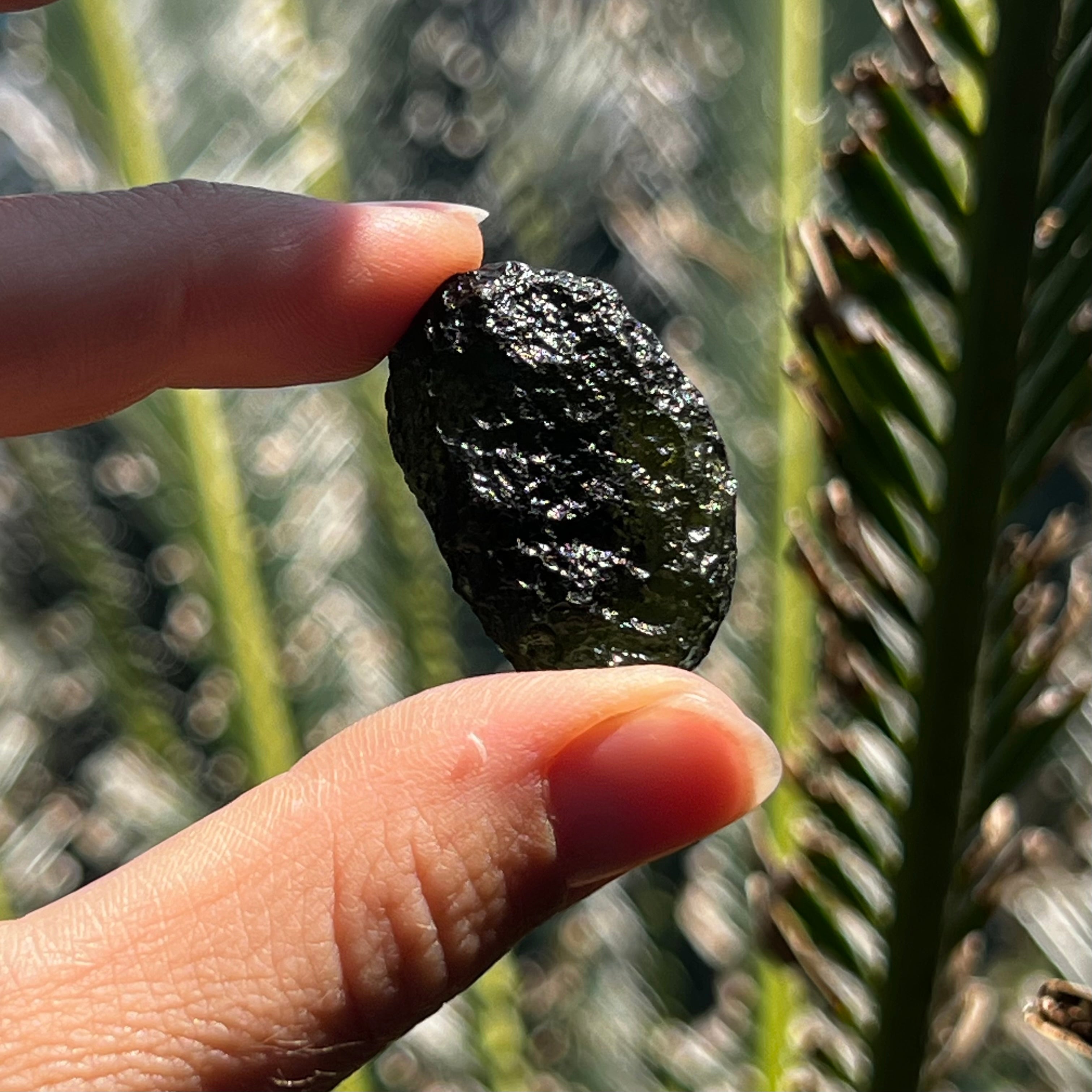 Raw Moldavite Specimen ~ RARE