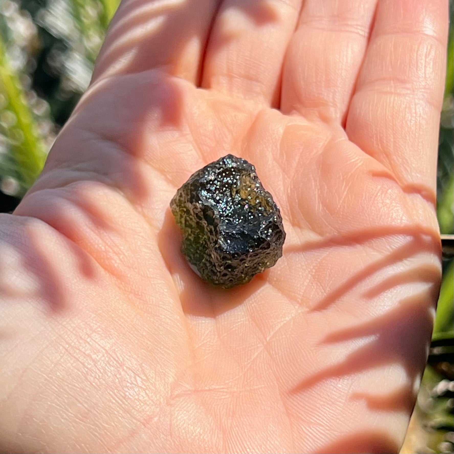 Raw Moldavite Specimen ~ RARE