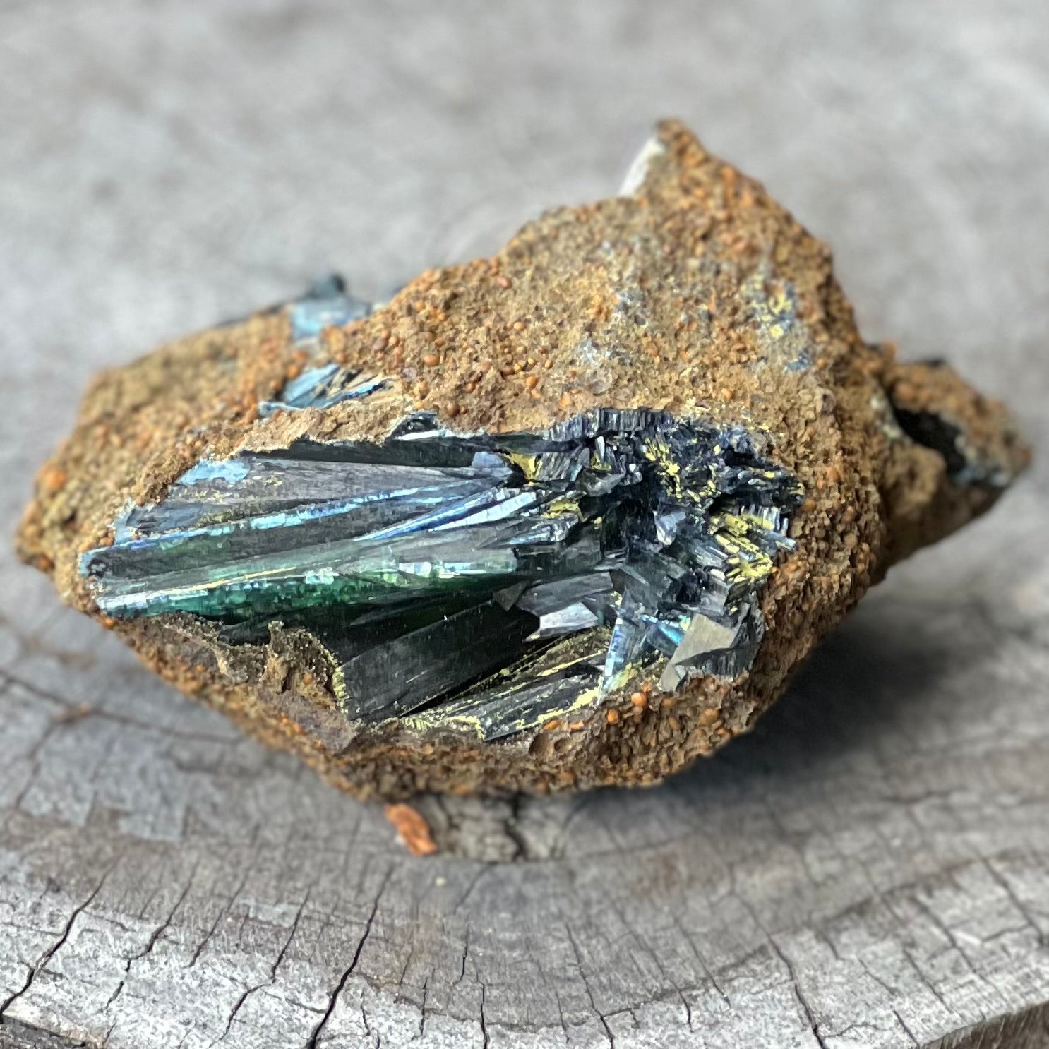 RARE… Vivianite on Matrix Specimen