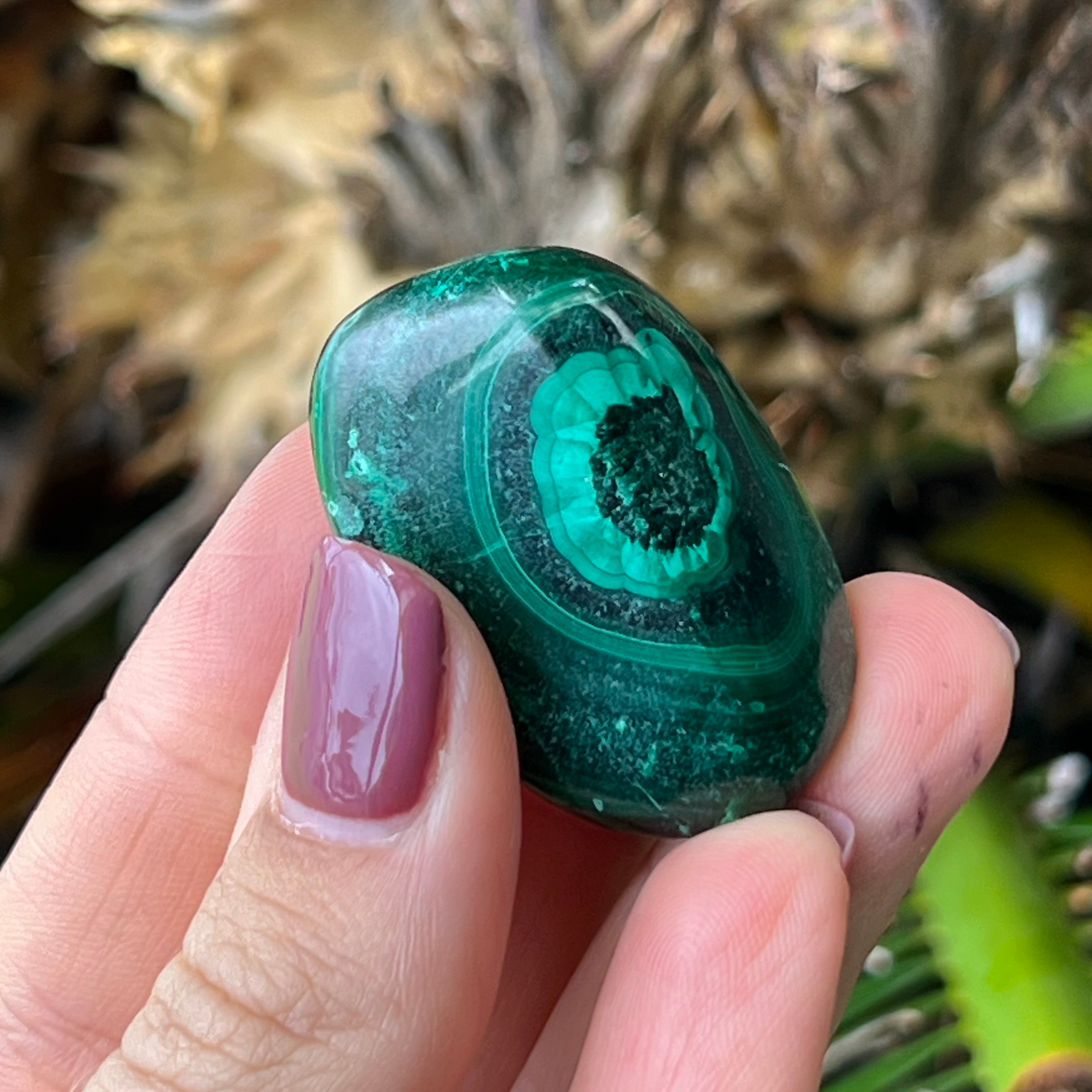 Malachite ~ Specialty Boxed Crystal