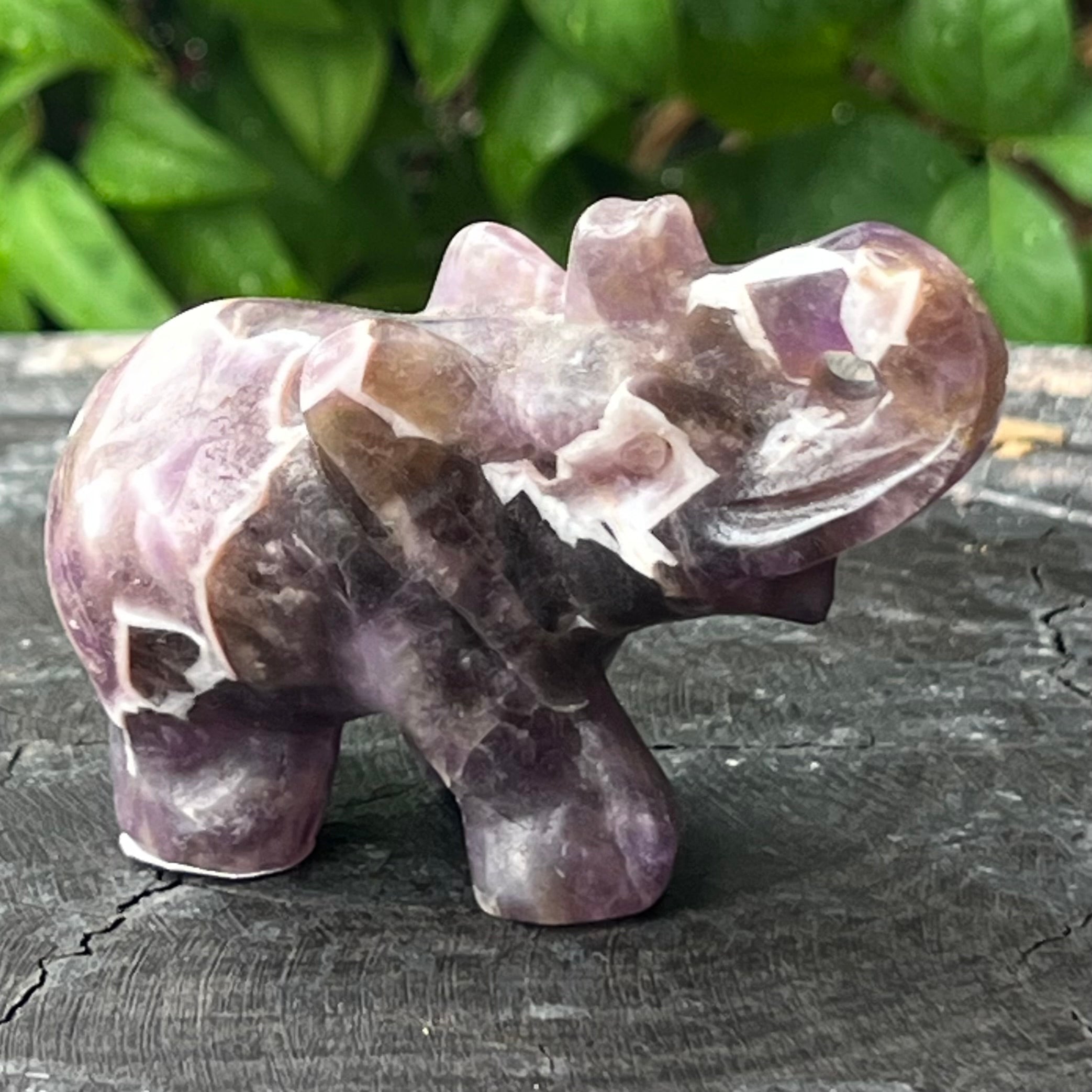Lucky Elephant ~ Amethyst