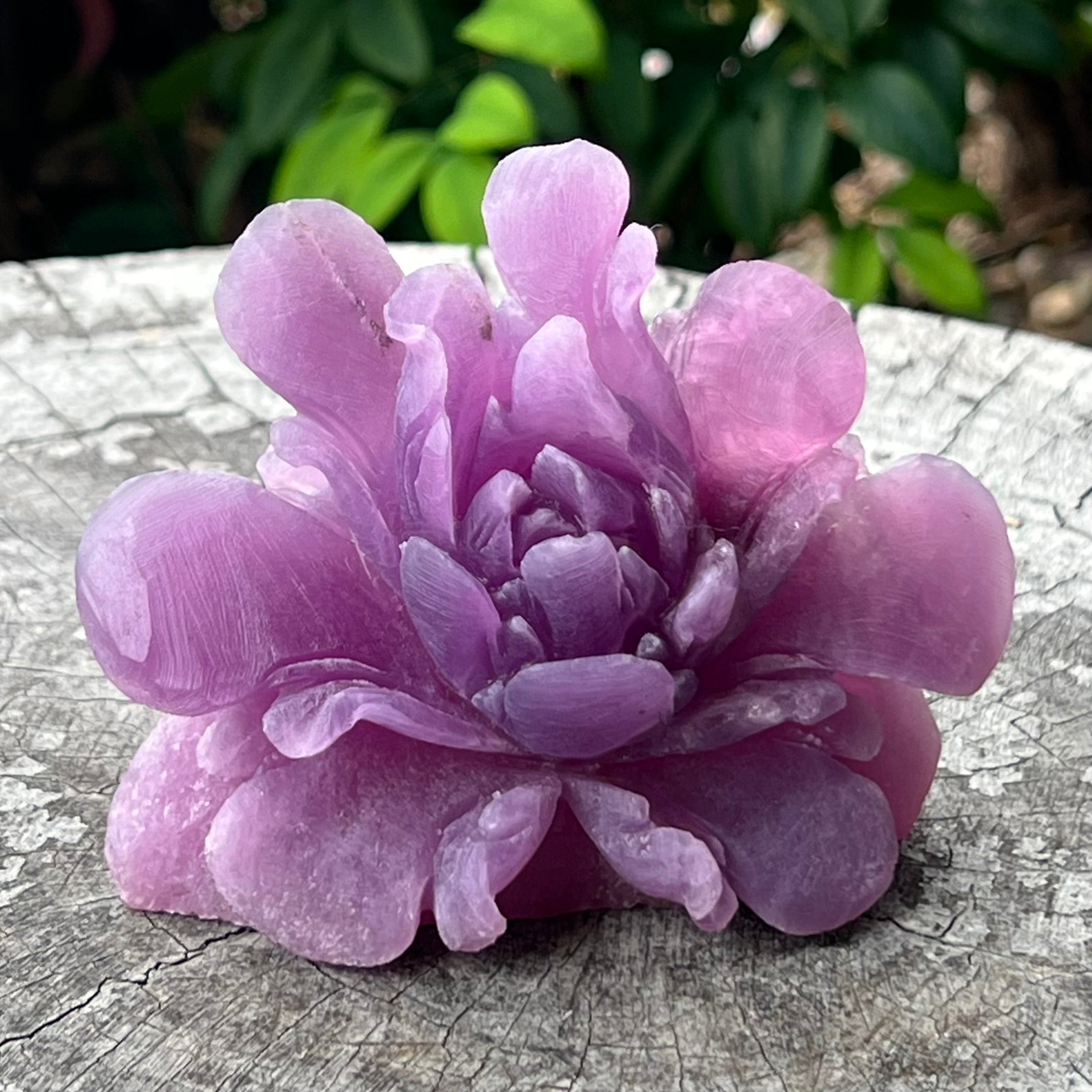 Blooming Flower ~ Lepidolite