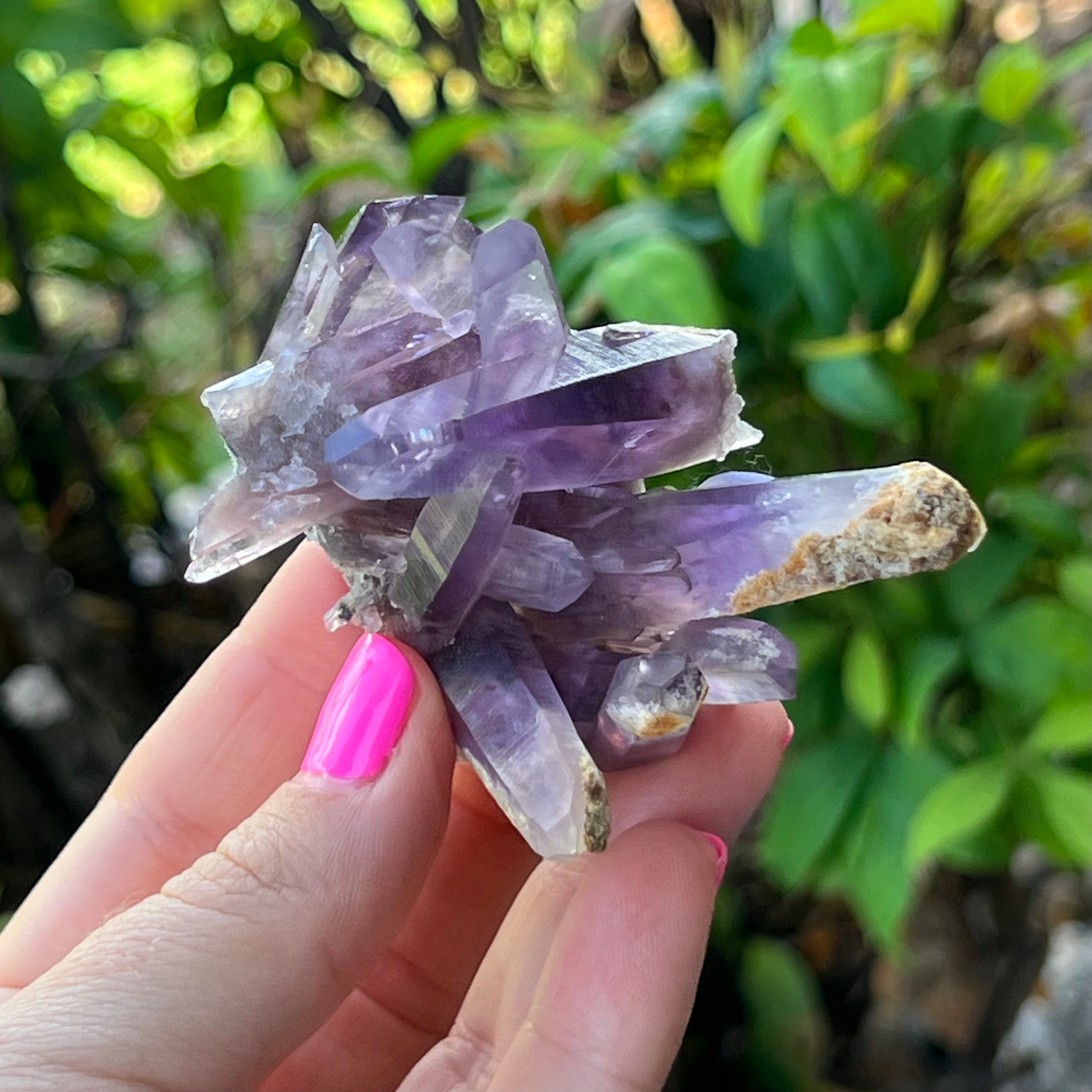 Vera Cruz Amethyst