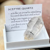 Sceptre Quartz~ Specialty Boxed Crystal