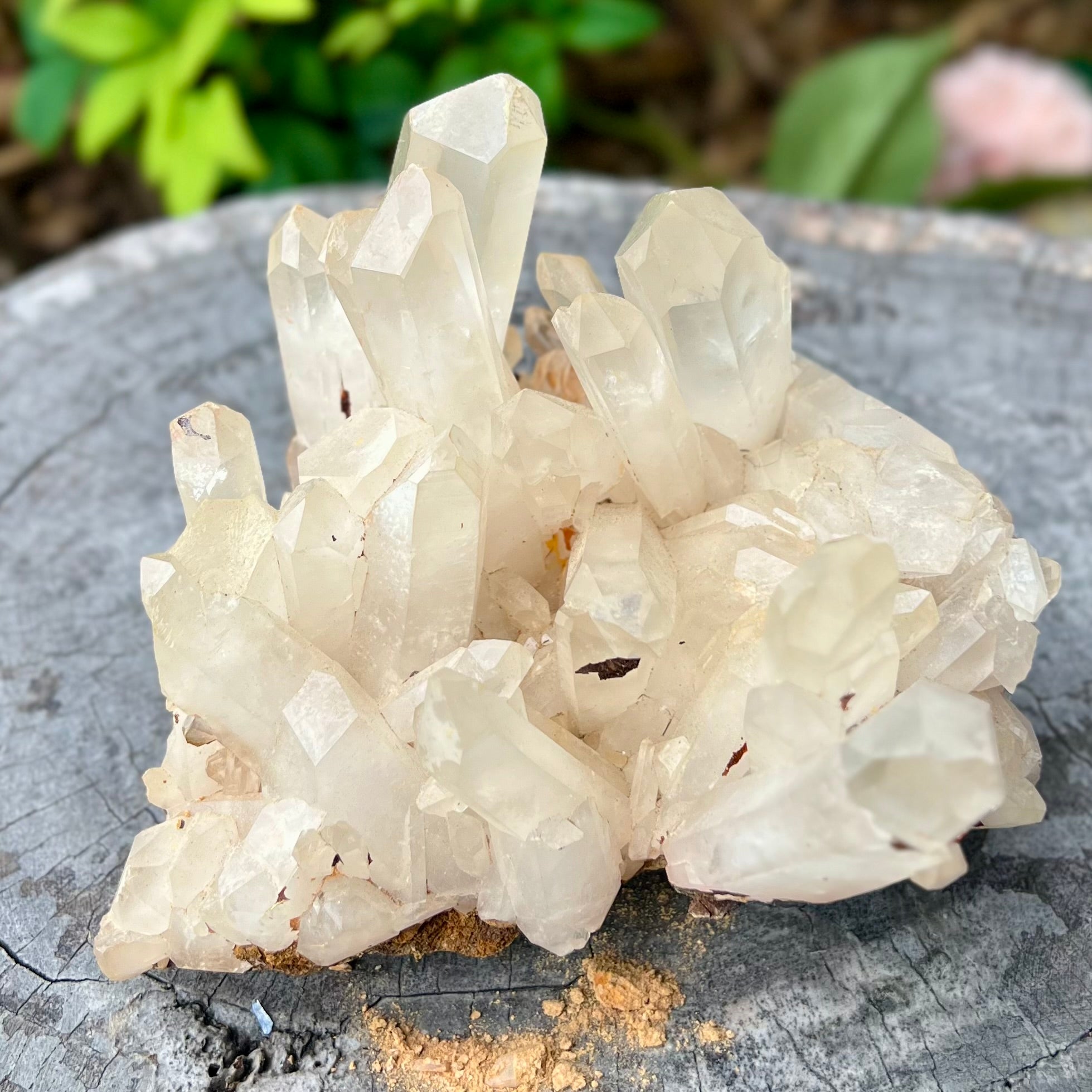 Clear Quartz Cluster
