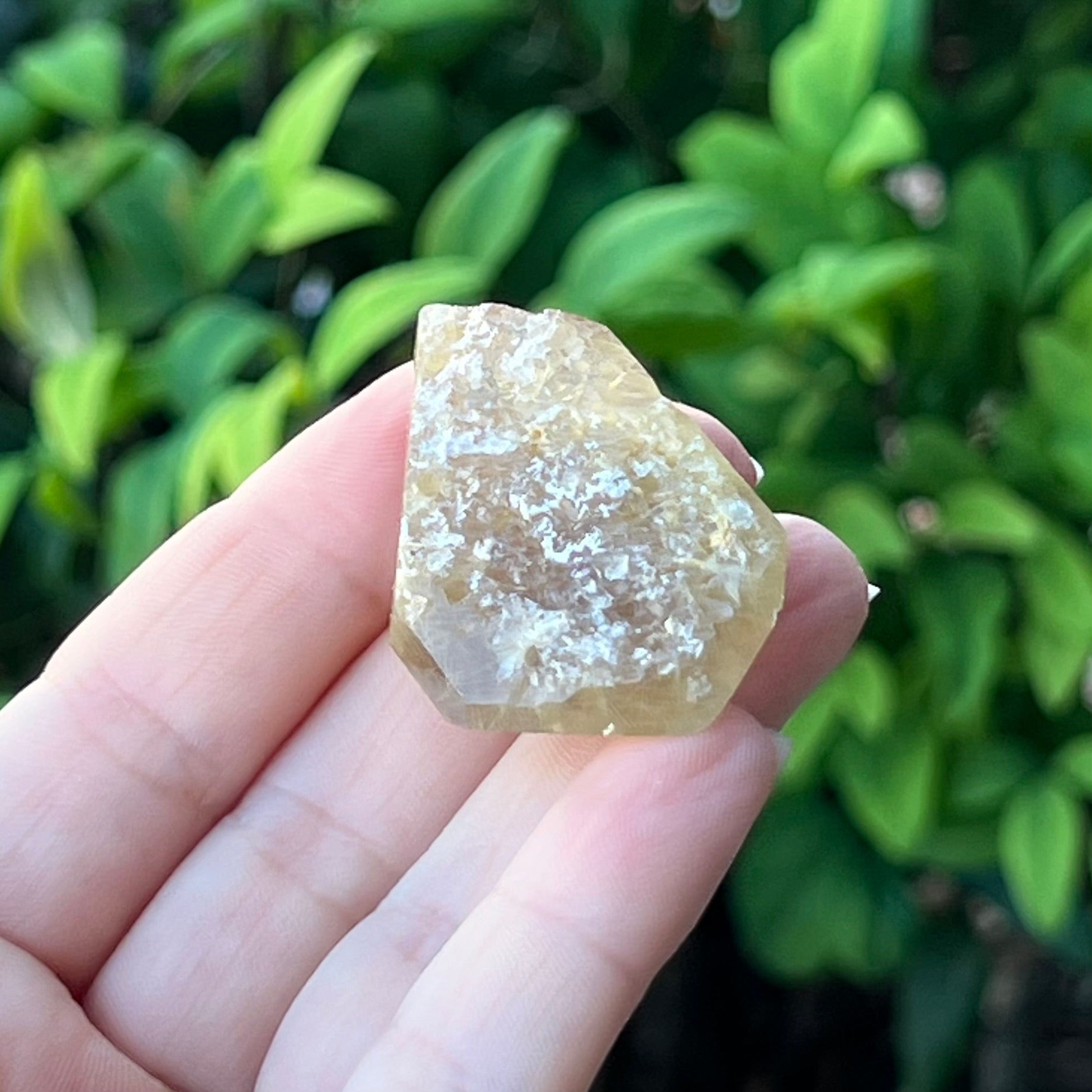 Rutilated Quartz ~ Specialty Boxed Crystal