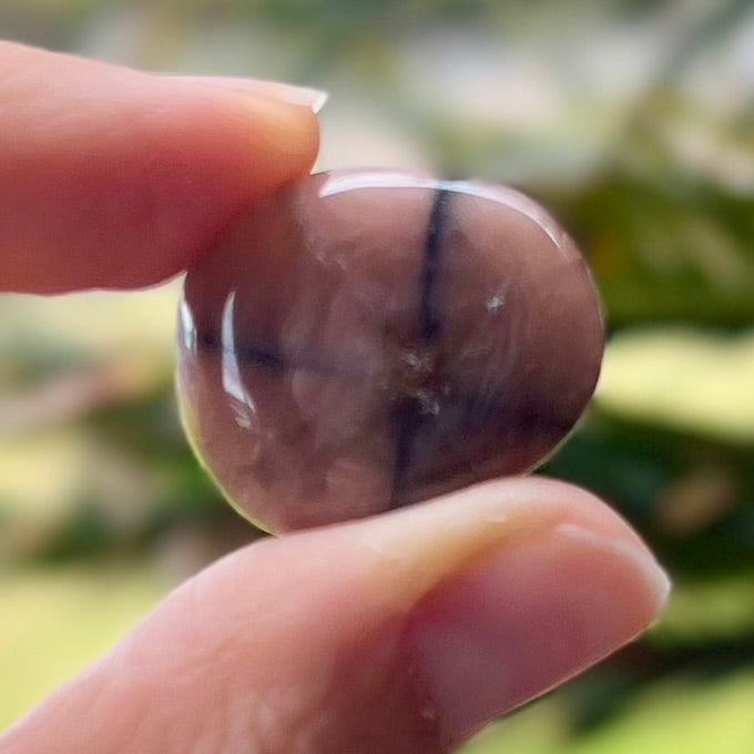 Chiastolite Protection Tumbled Specialty Crystal (1)