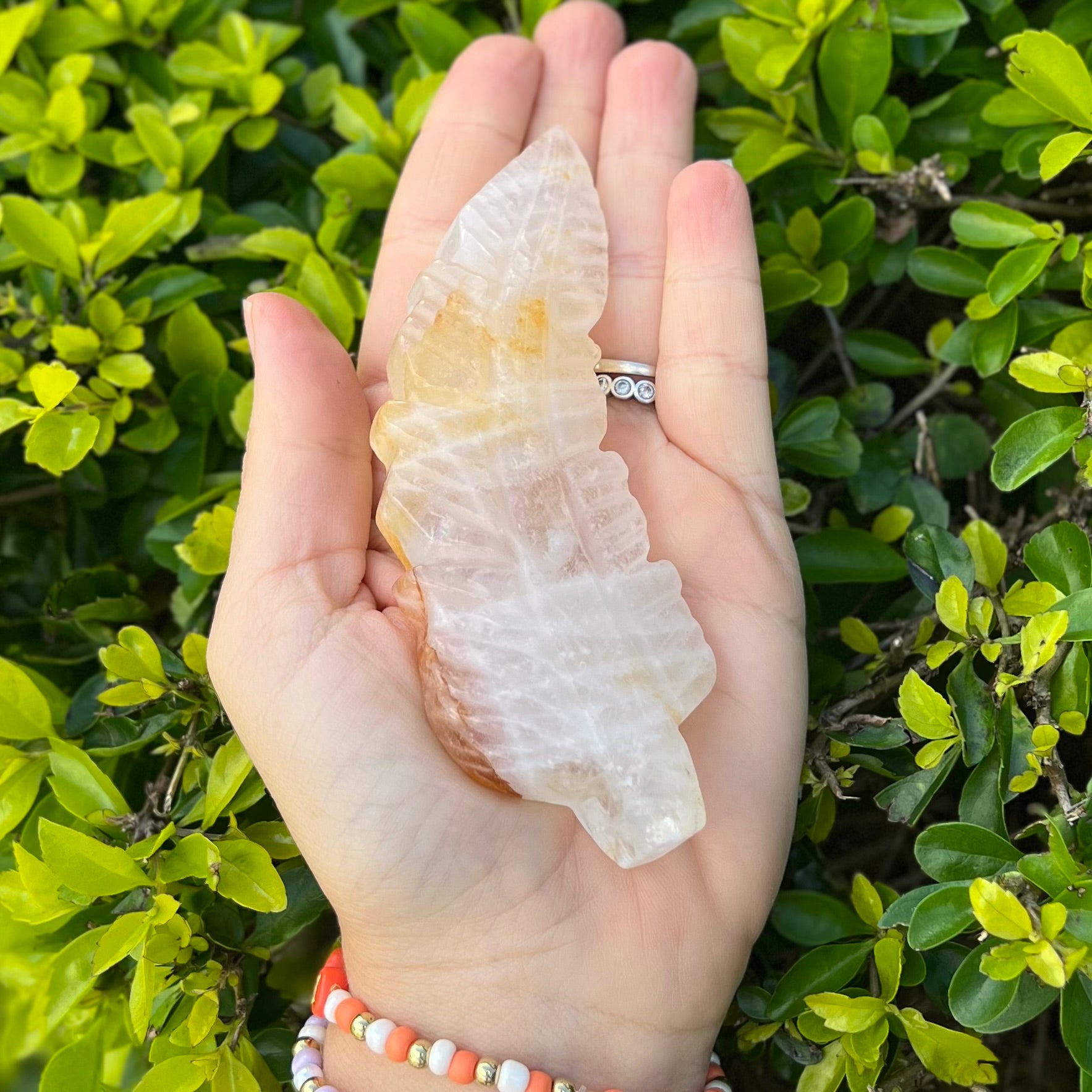 Feather of Divine Healing ~ Golden Healer