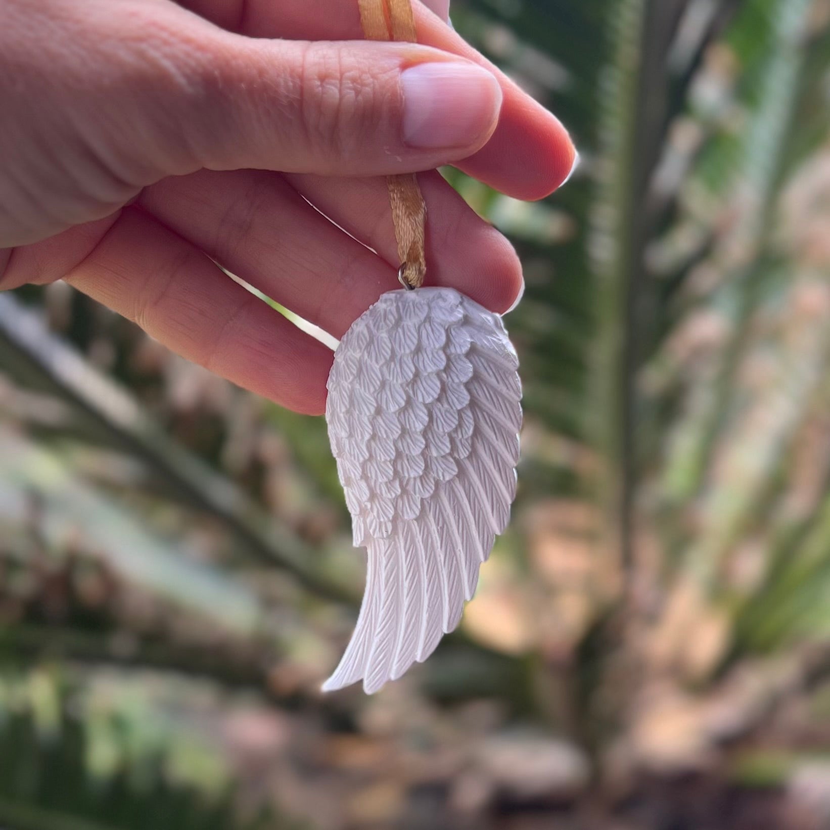 Angel Wing ~ Friend