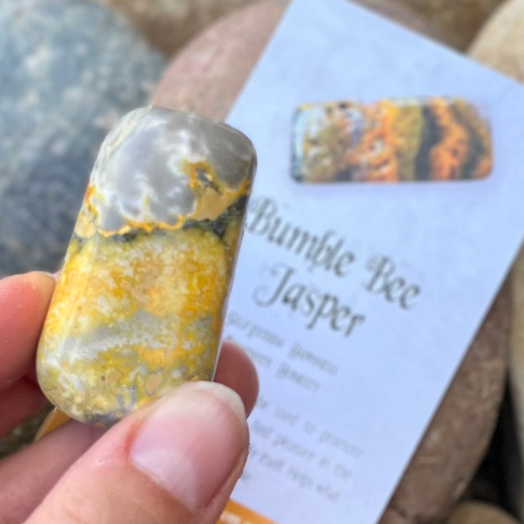 Bumble Bee ~ Specialty Boxed Crystal
