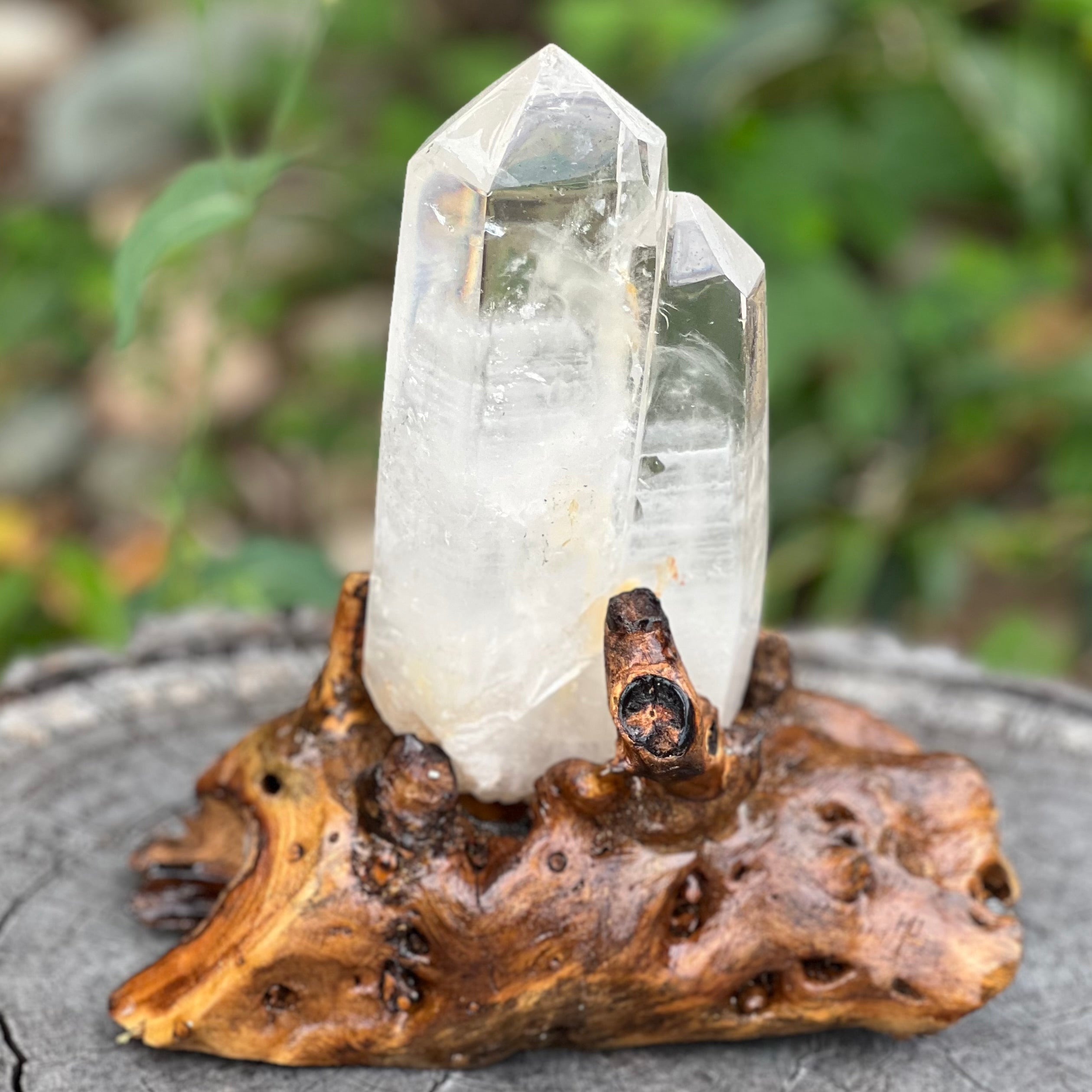 Clear Quartz Semi Raw Generator Point on wooden stand