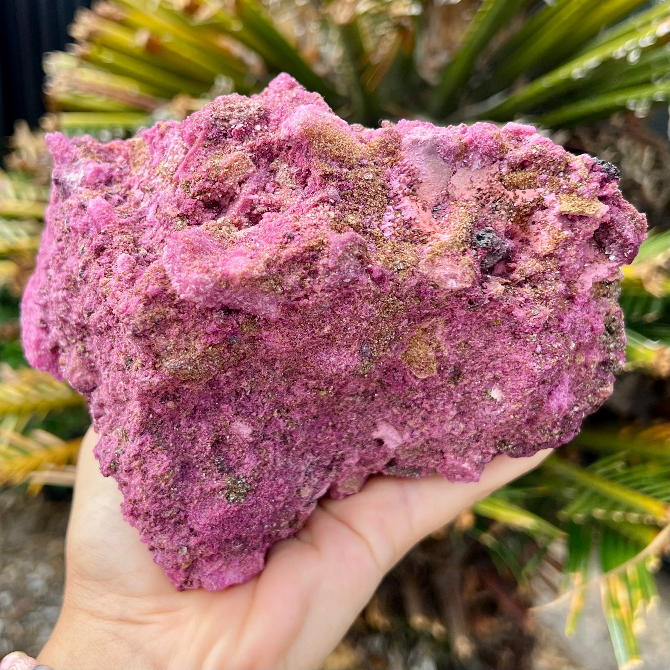 Glorious Ruby with Pyrite Specimen