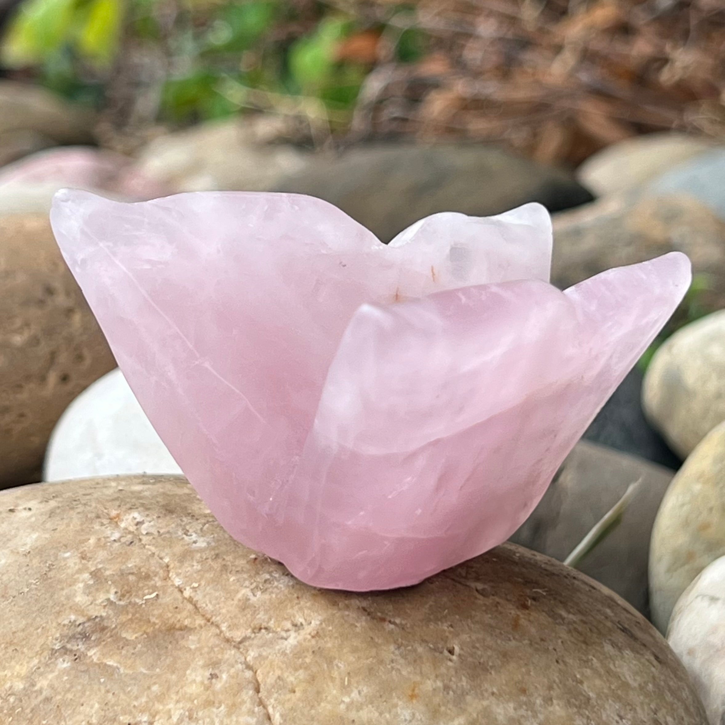 Rose Quartz Butterfly Carving